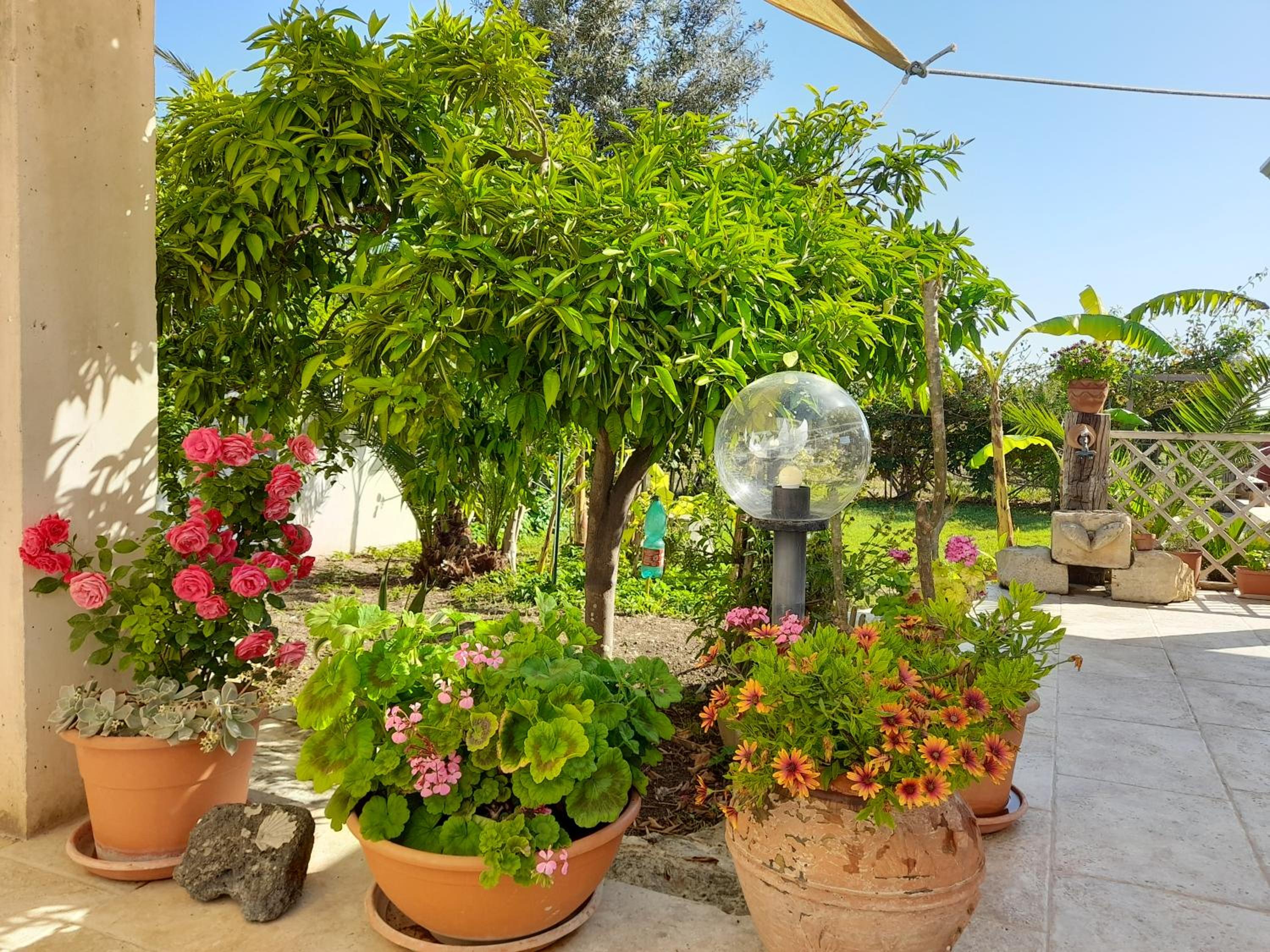 La pomelia view 5