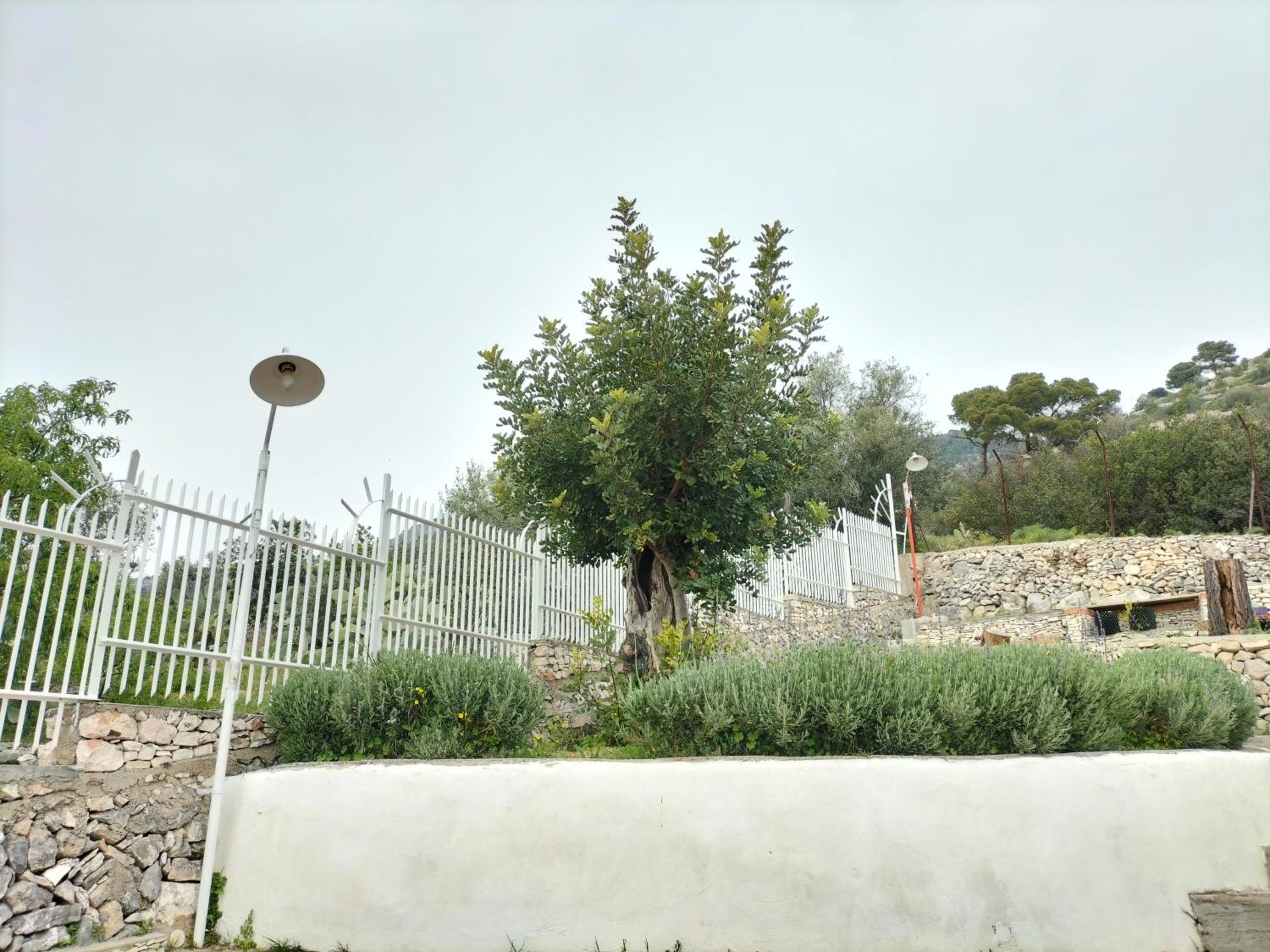 Photo 31