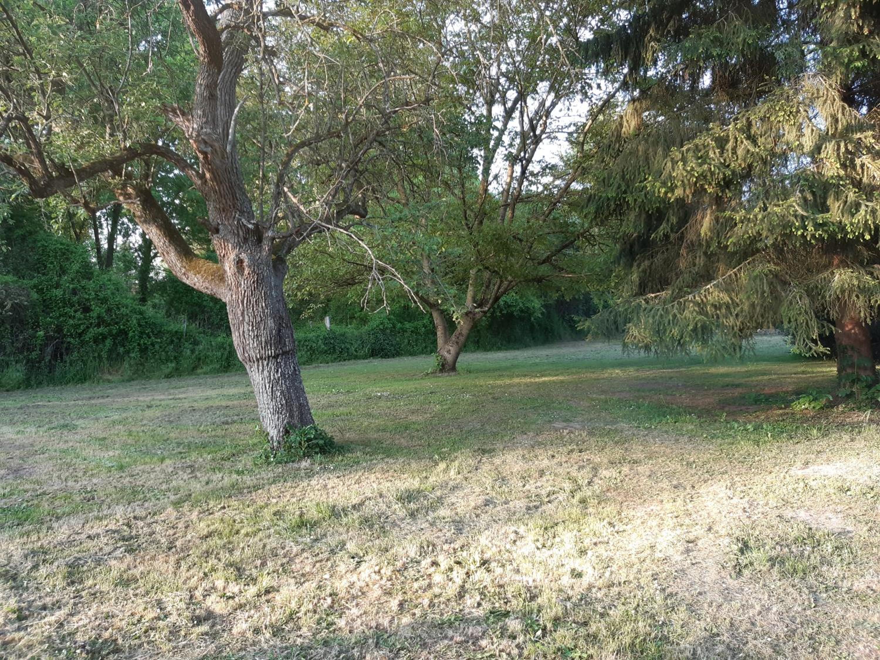 Photo 65