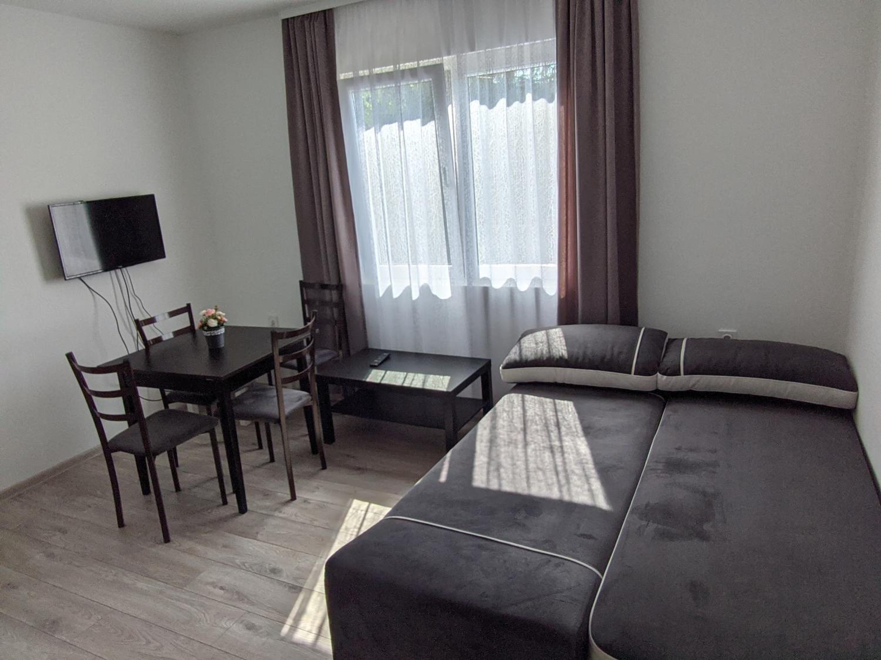 IKA Apartment Sokobanja view 4