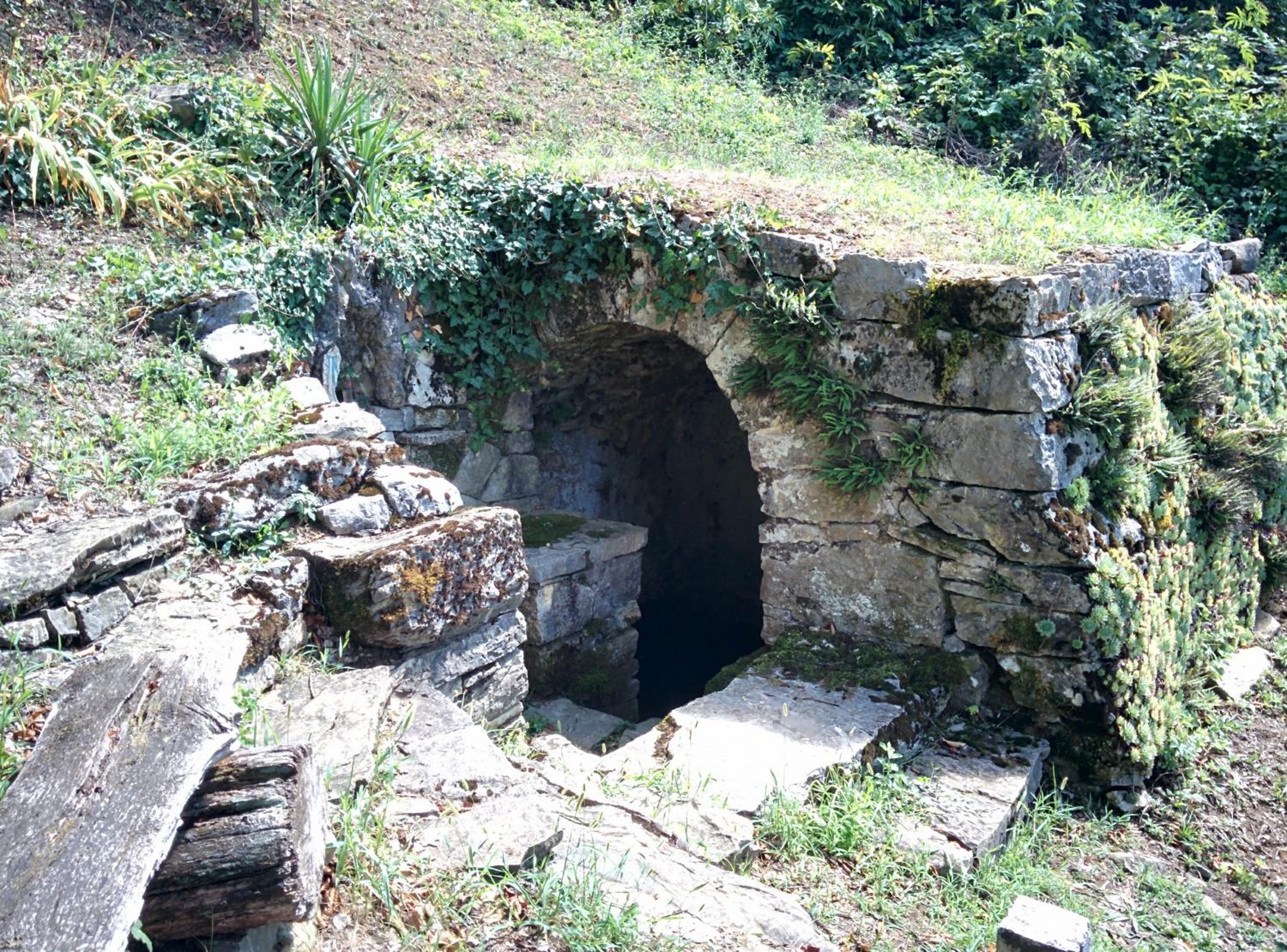 Photo 22
