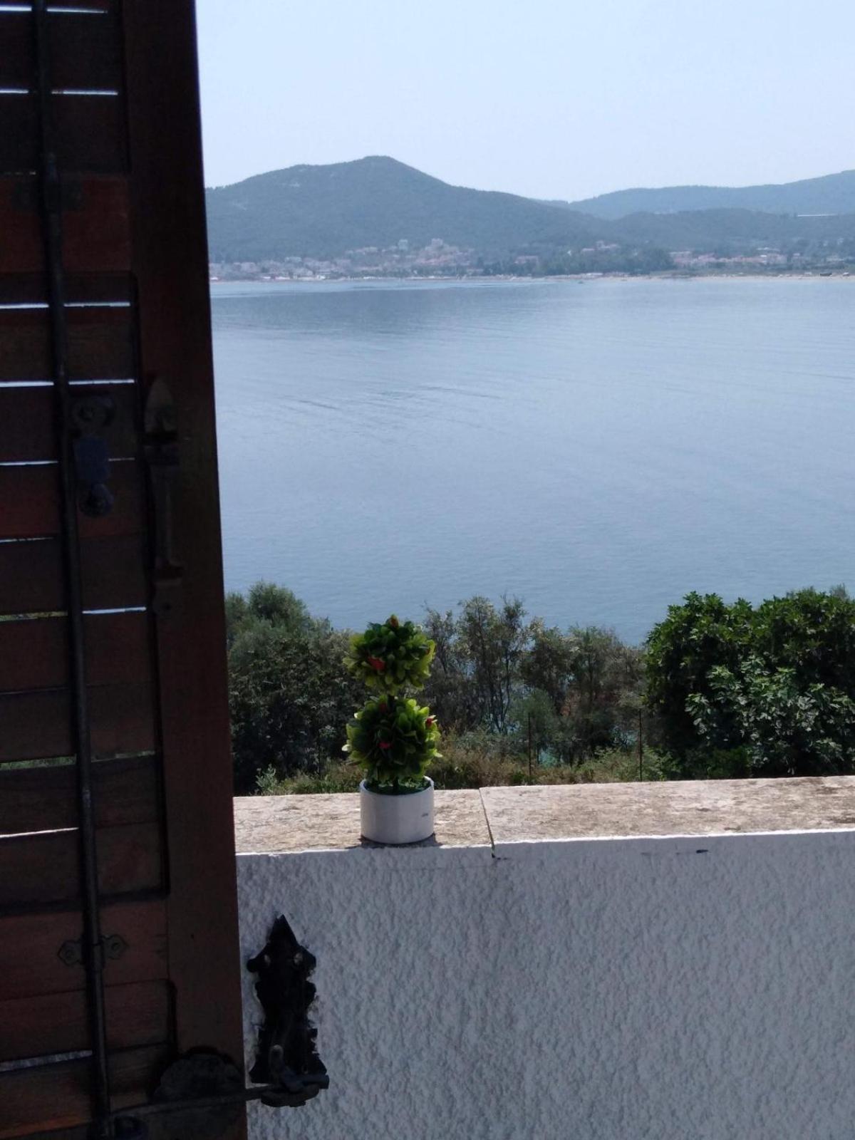 Green Sea Side Villa view 3
