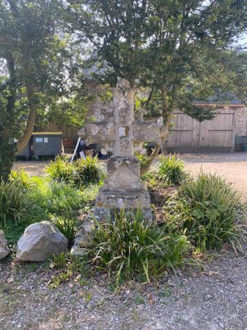 Photo 22