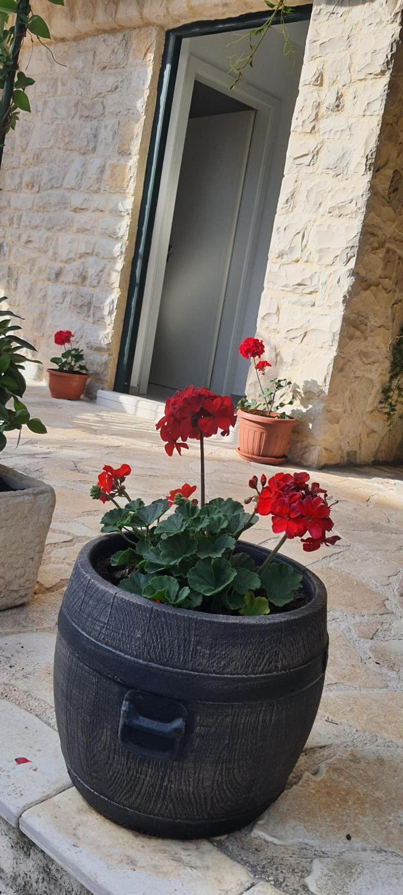 Holiday home Jakov view 5