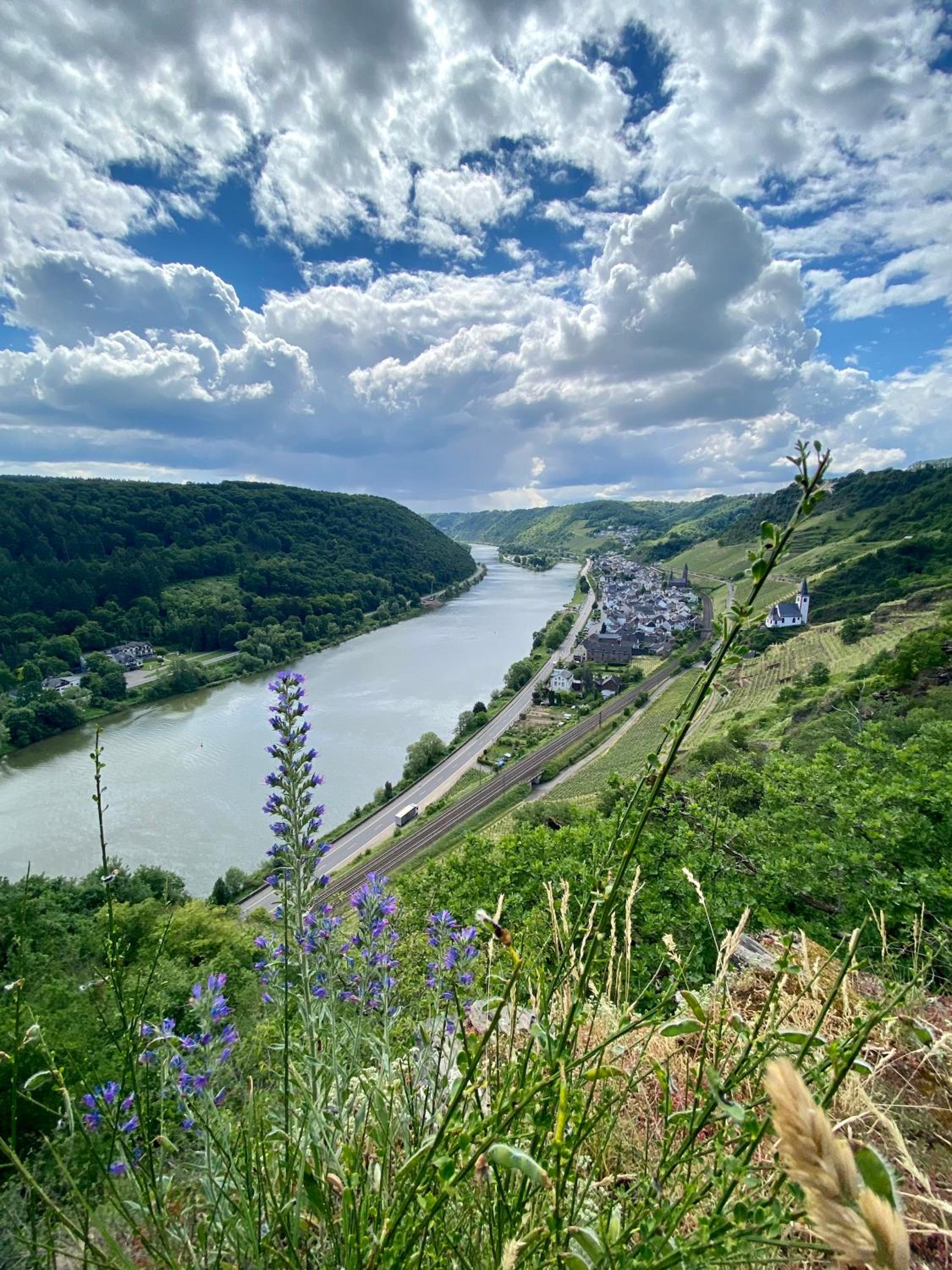 Ferienwohnung auf der Moselhöhe - Nähe Koblenz und Cochem