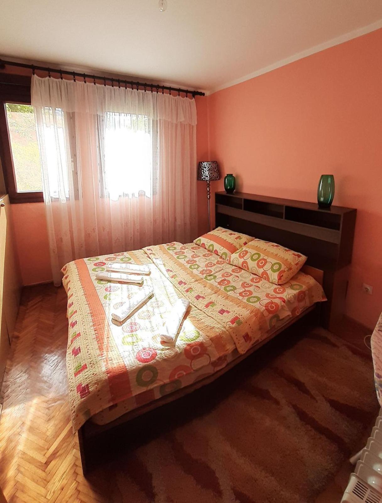 Apartman Sofija view 4