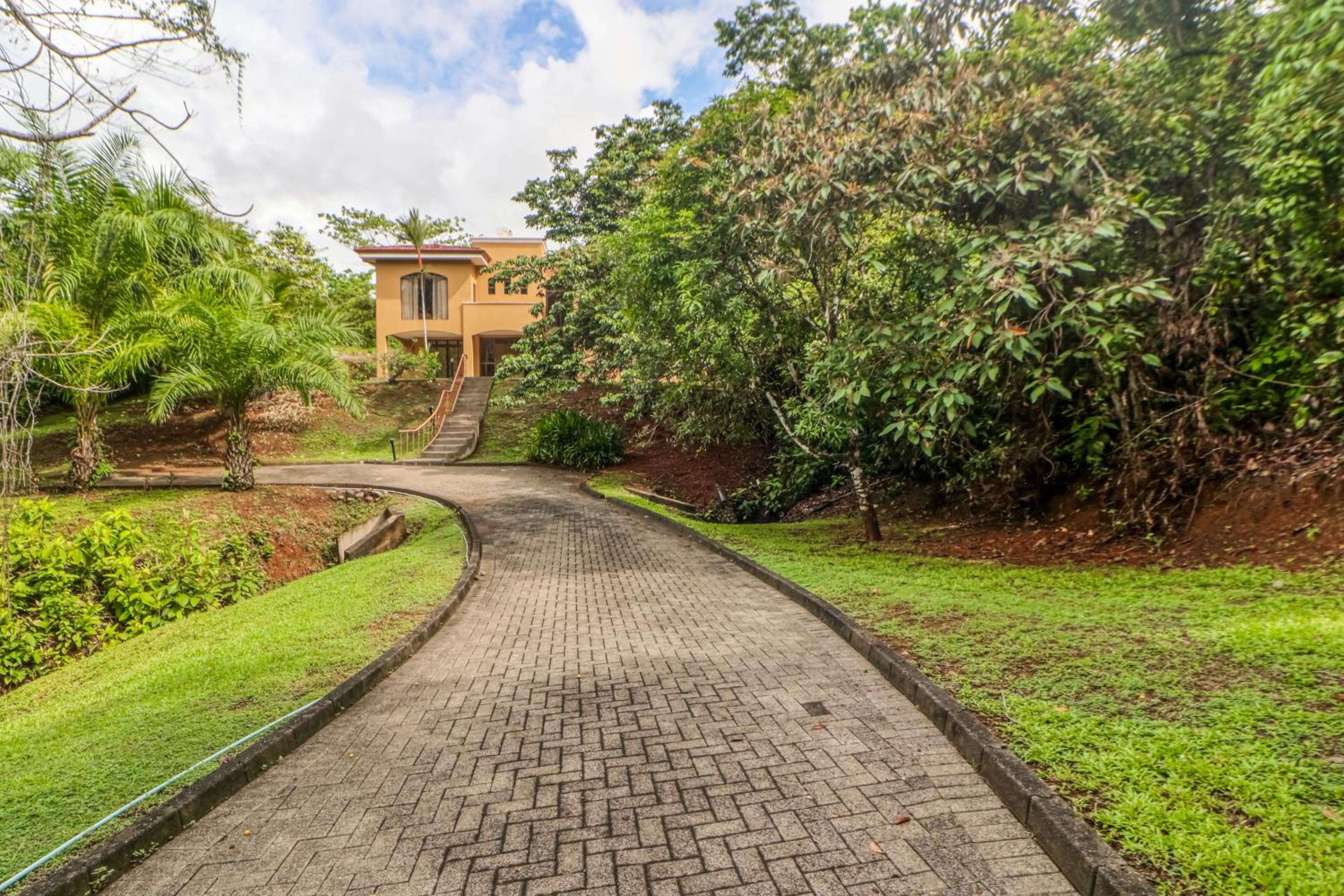 Esterillos Estates Coconut 38