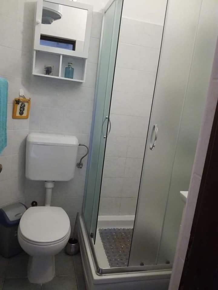 Apartment Punta Skala