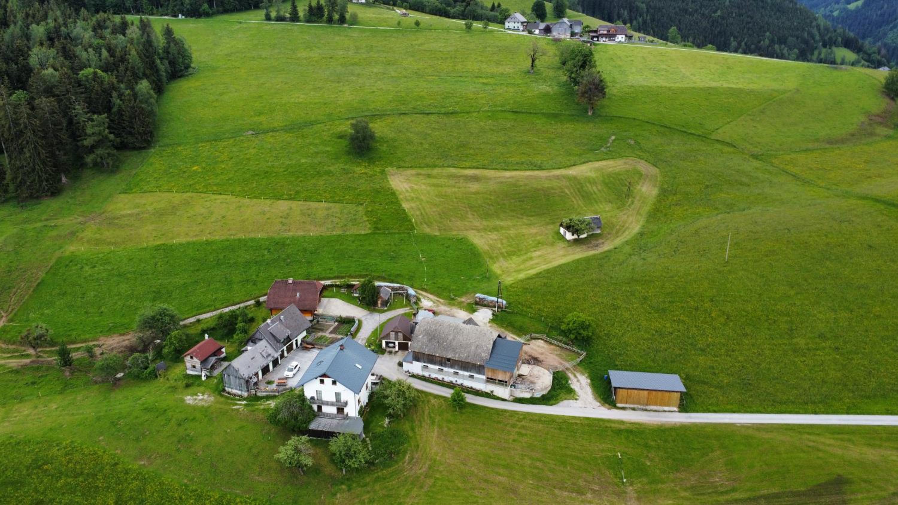 Ferienwohnungen - Pichlerhof view 3