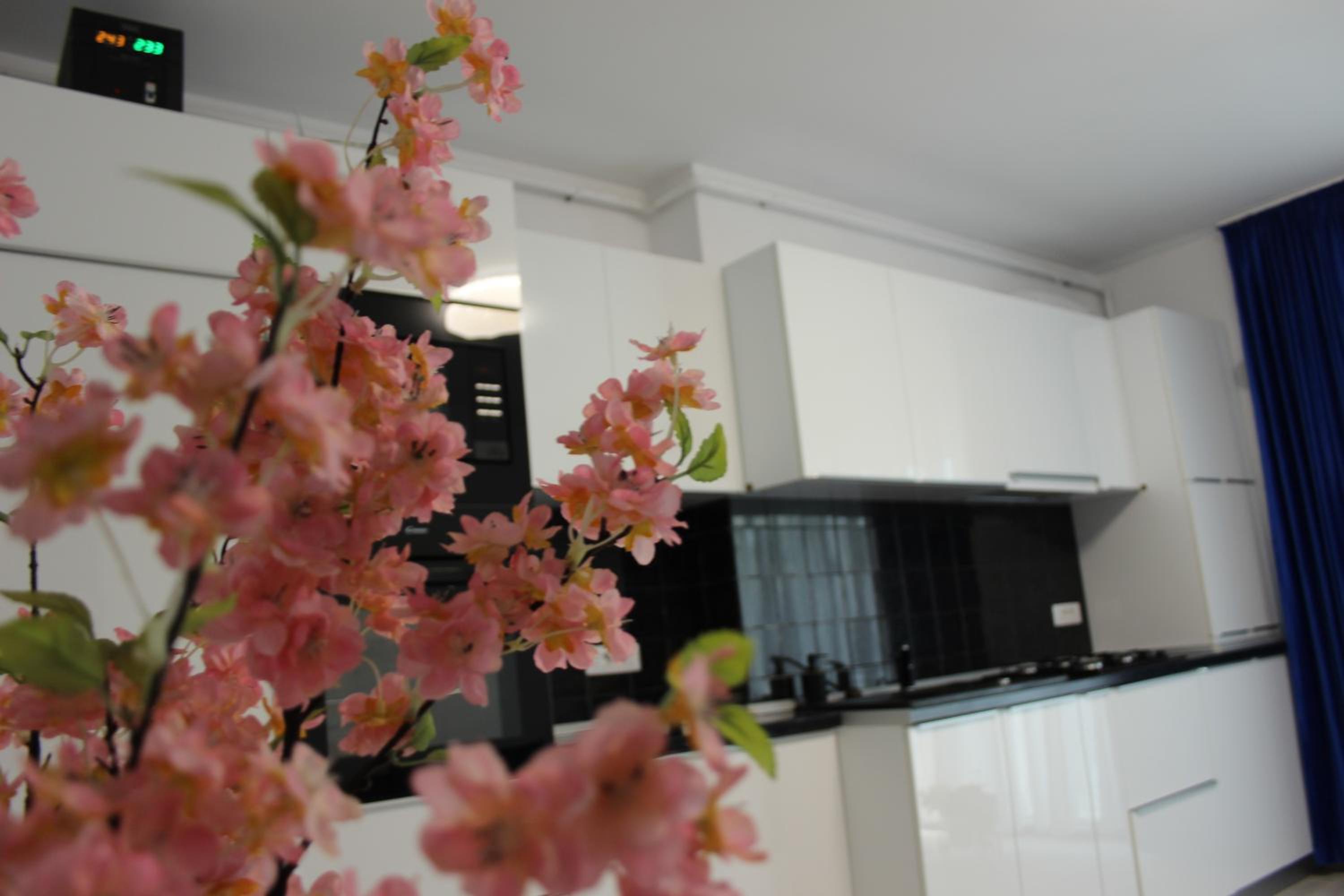 Zenity Residence Star view 5