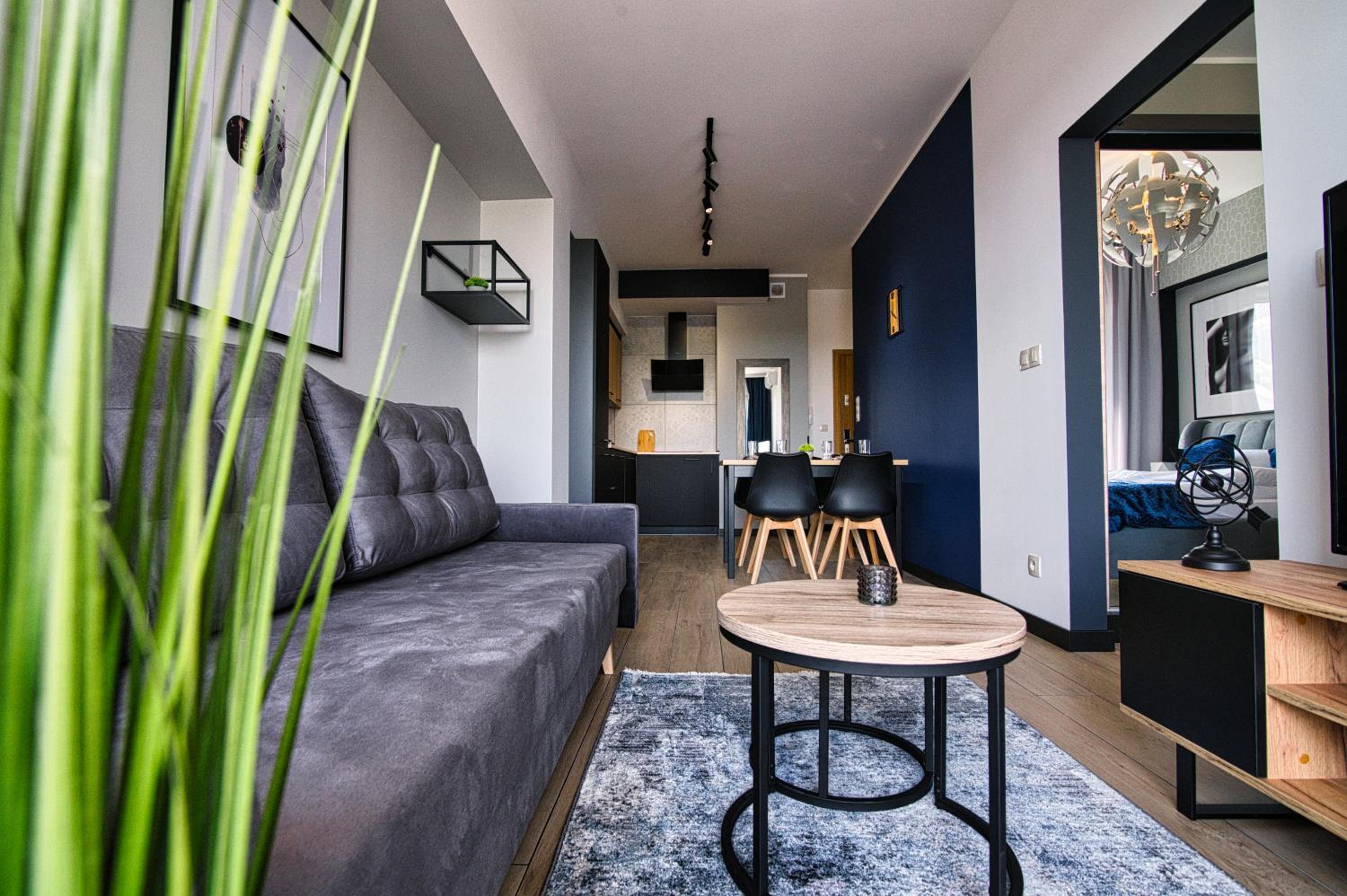 Apartament Timi Zator by Housine view 2