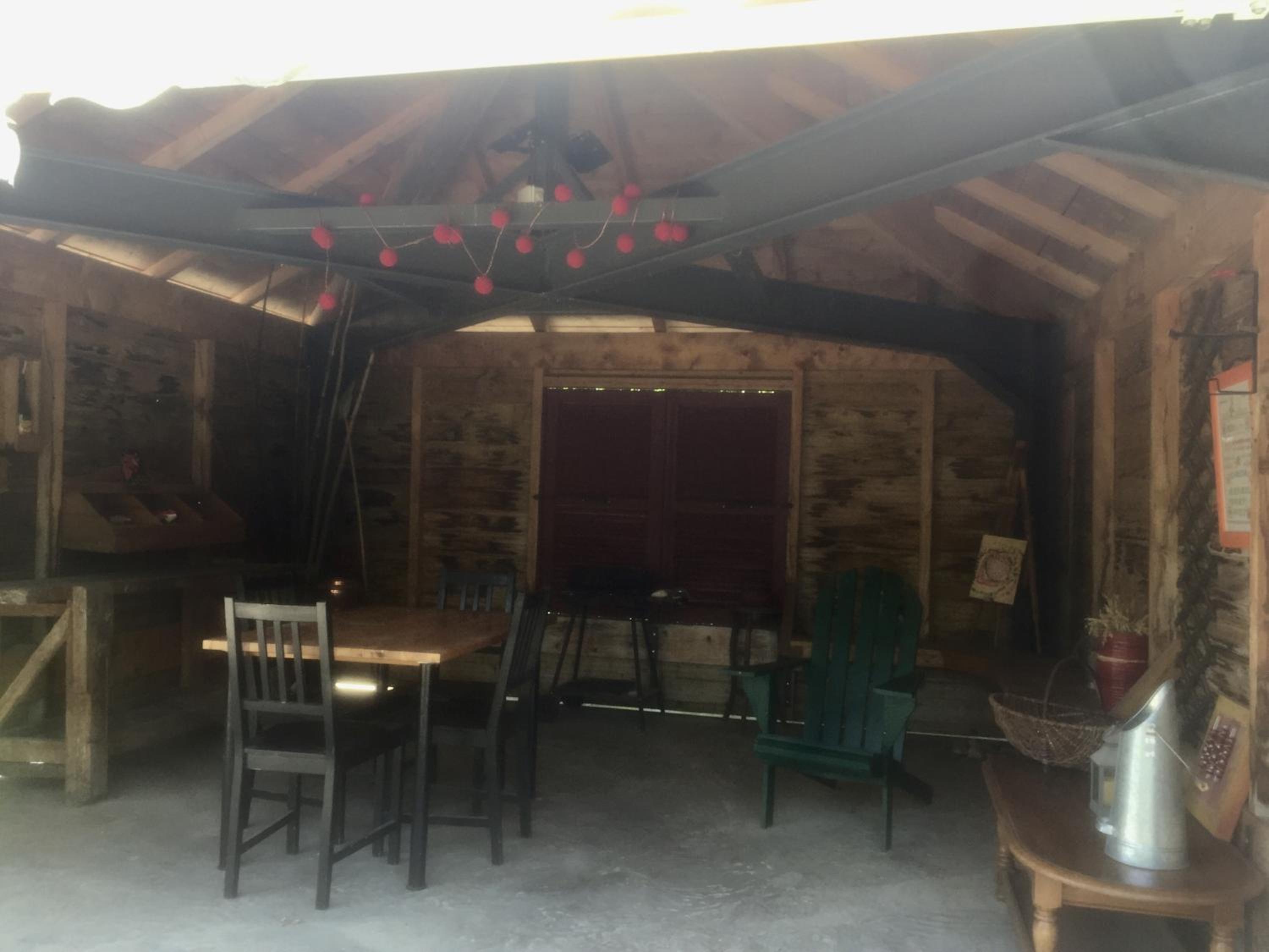 Photo 15