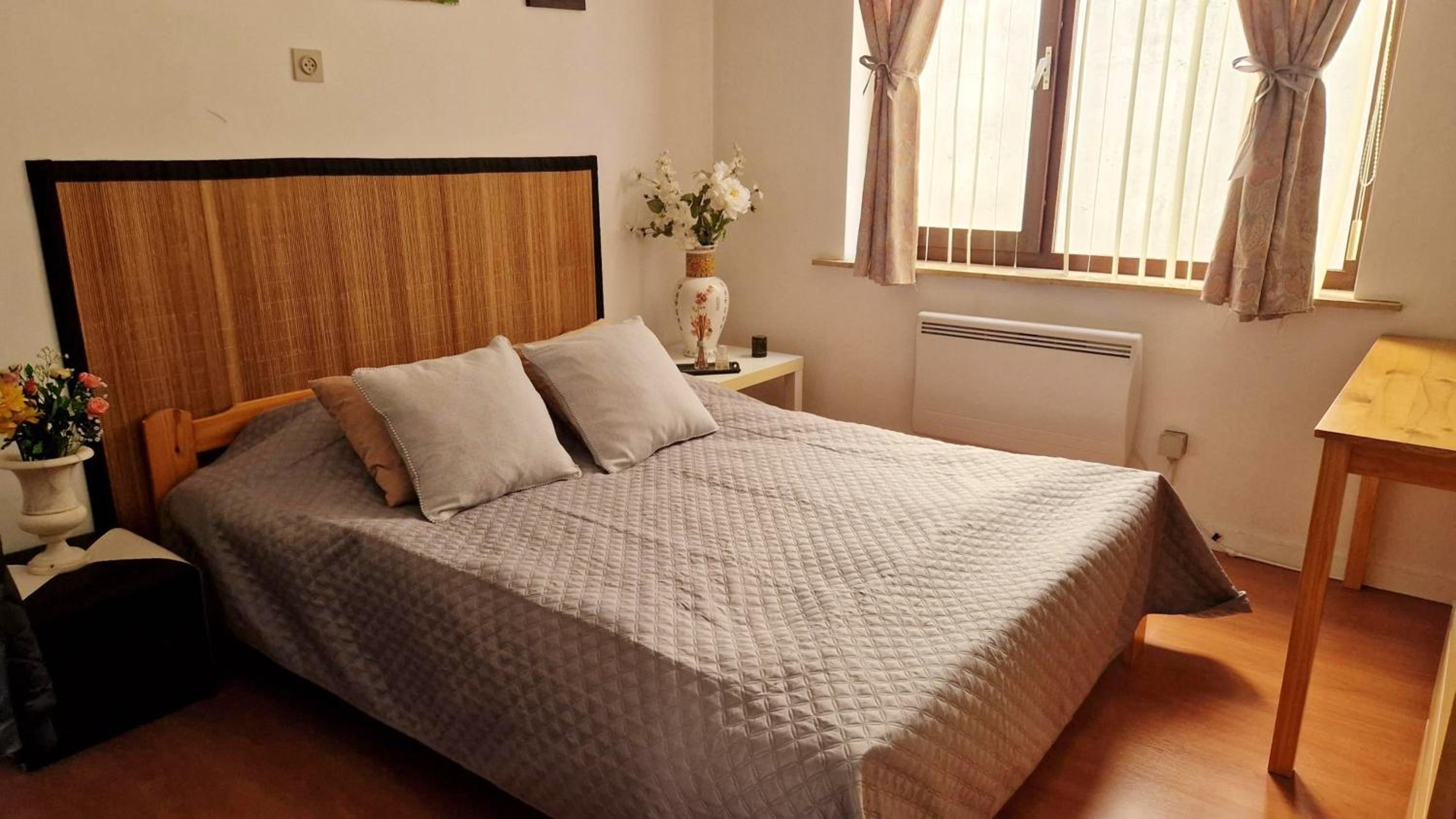 2 bedrooms appartement at Oostende 500 m away from the beach with balcony and wifi