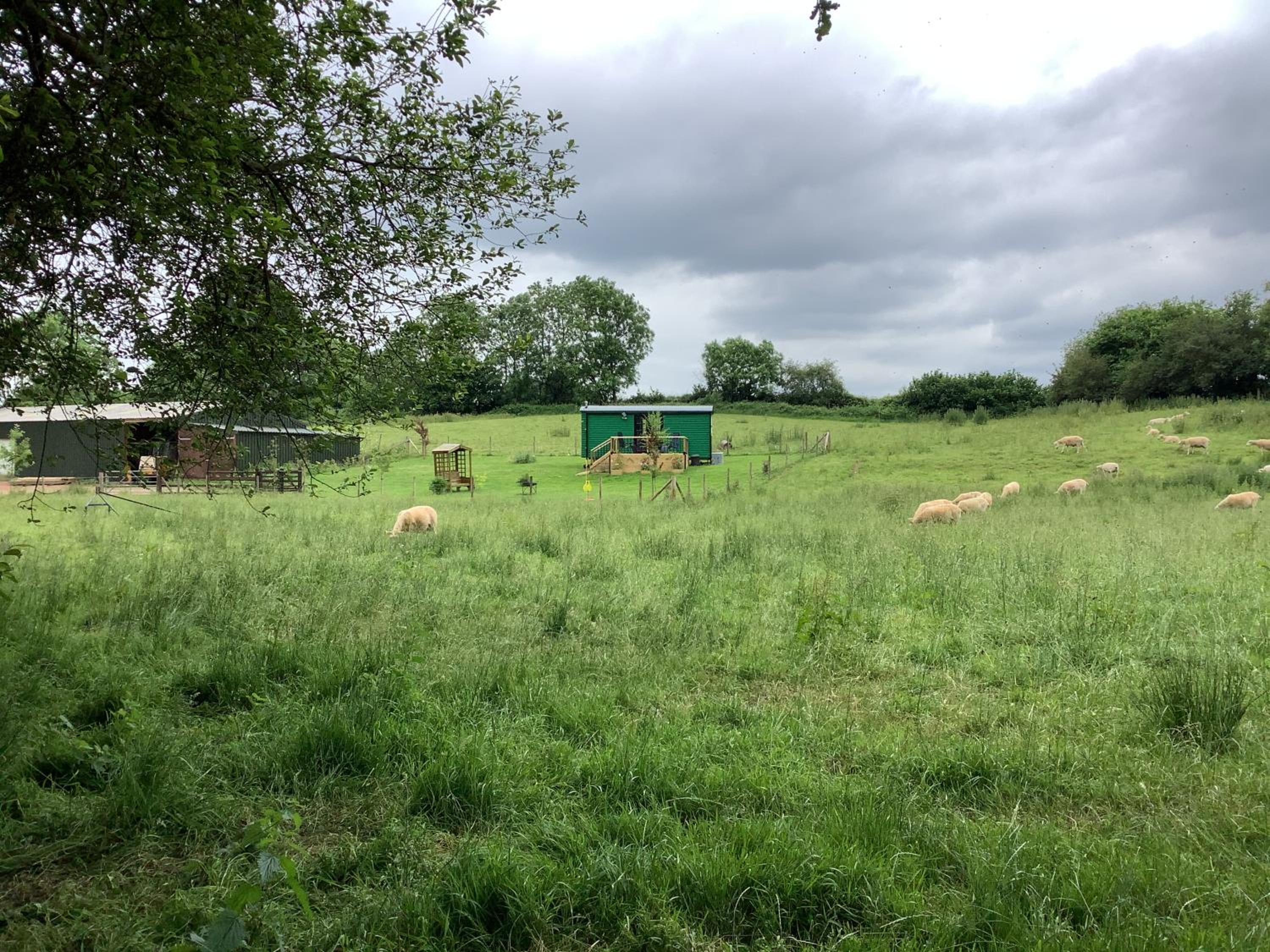 Shepherds Hut (Benny's)