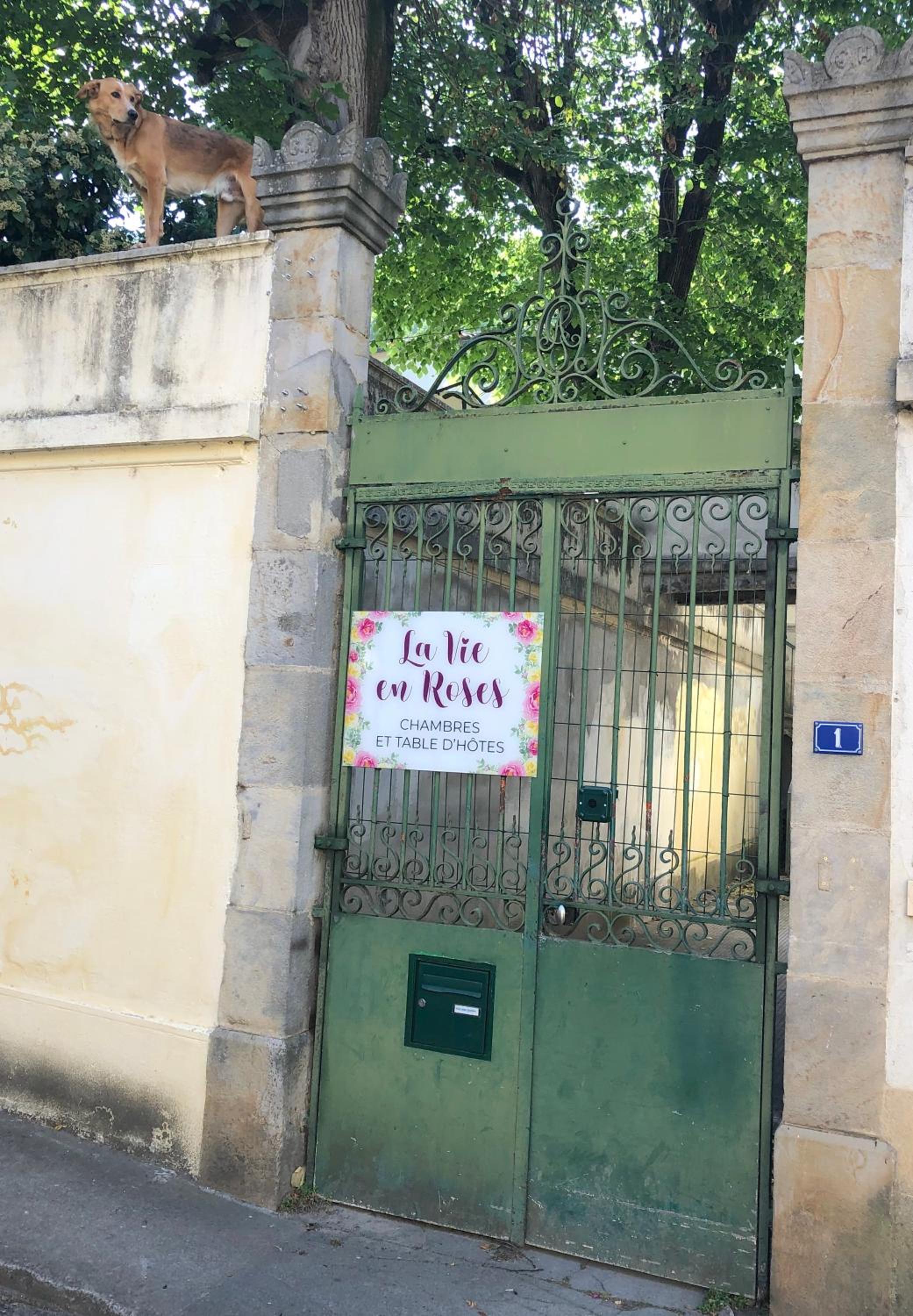 Hotel La Vie en Roses