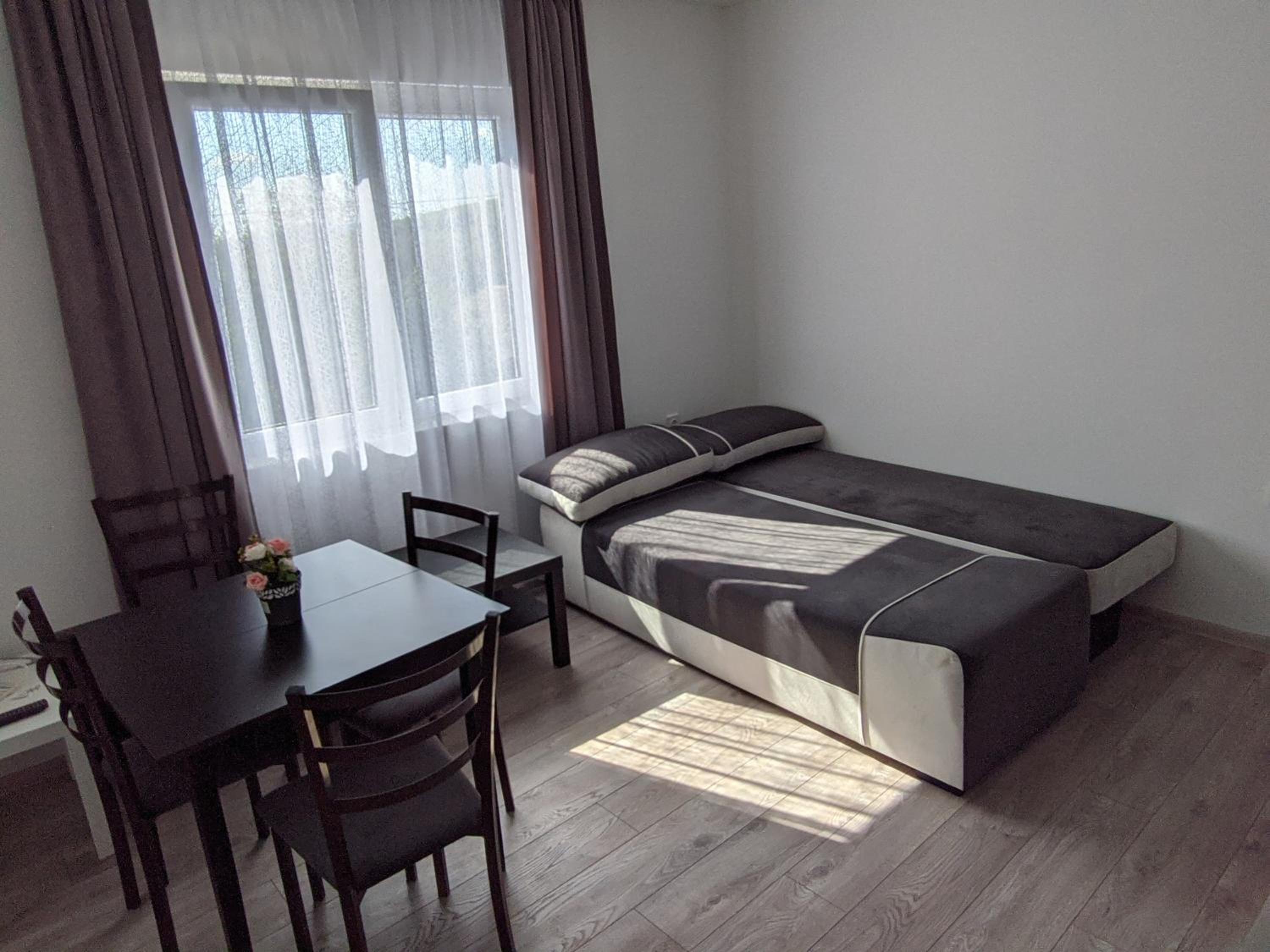 IKA Apartment Sokobanja view 5