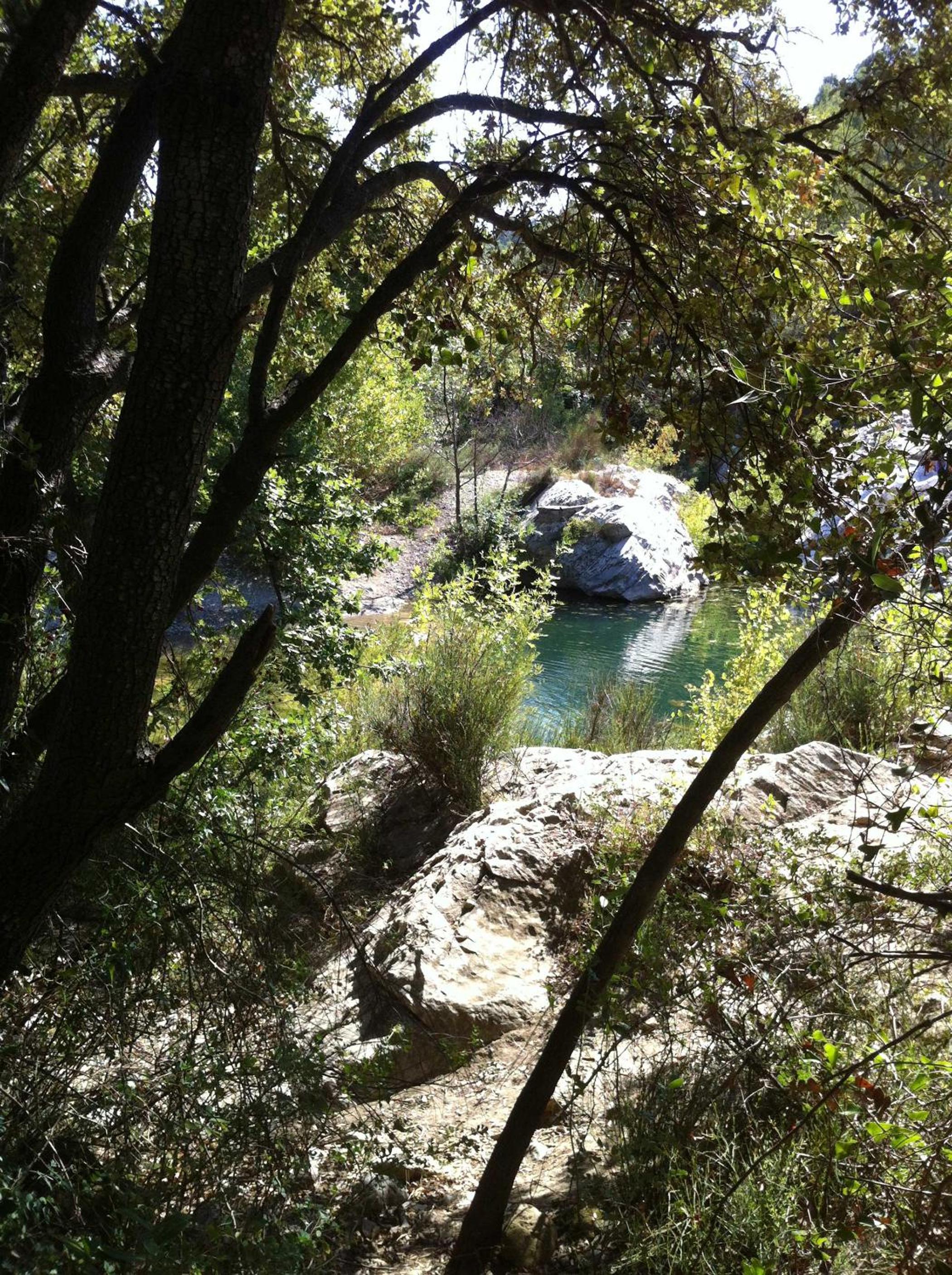 Photo 6