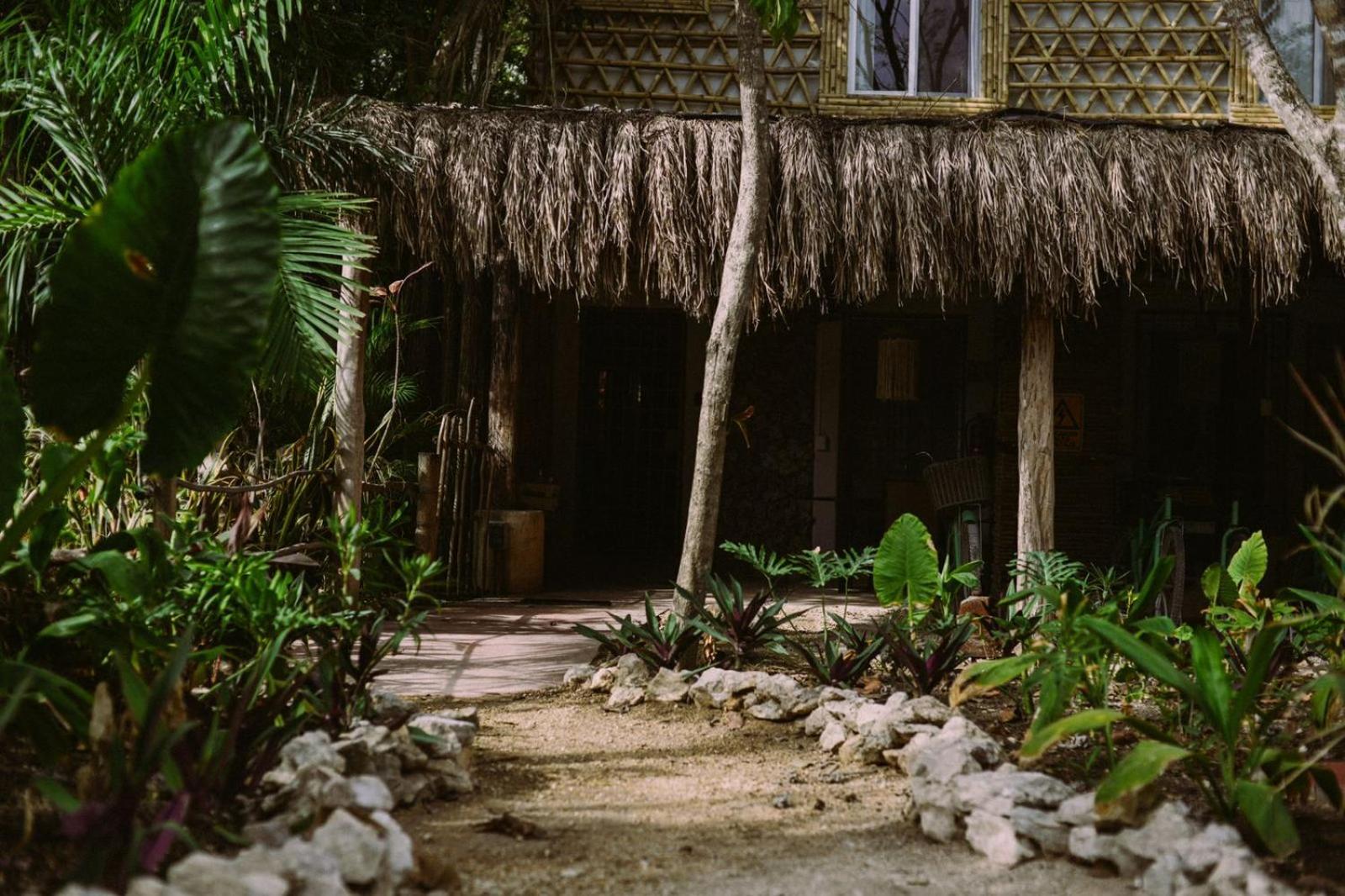 Lunah Xcacel Suites