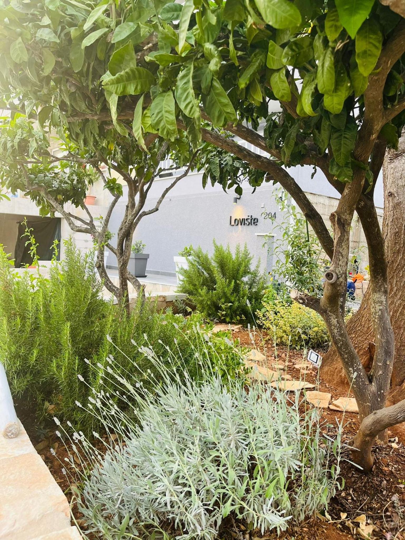 Apartmani Roxy view 5
