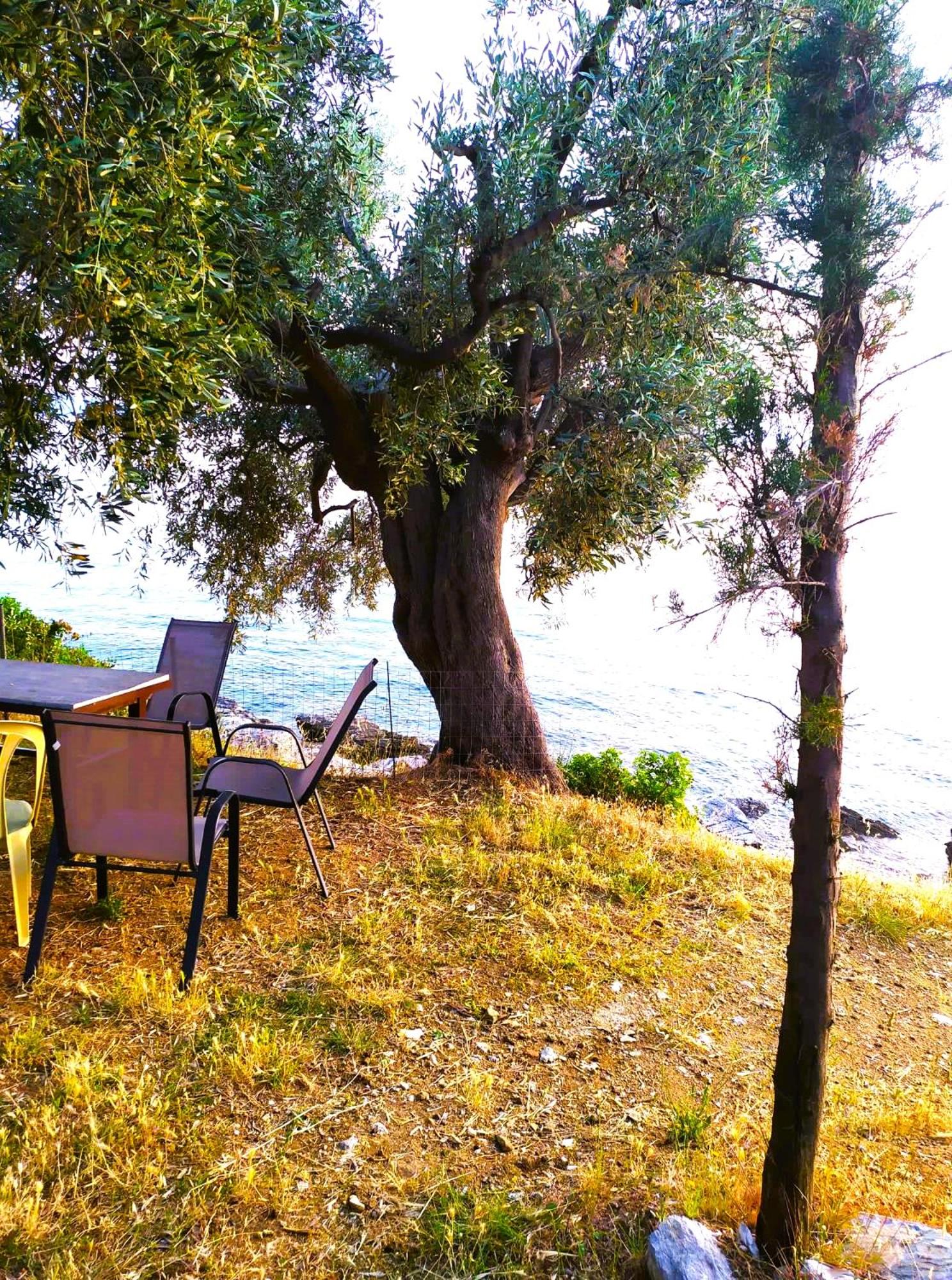 Outdoor Space