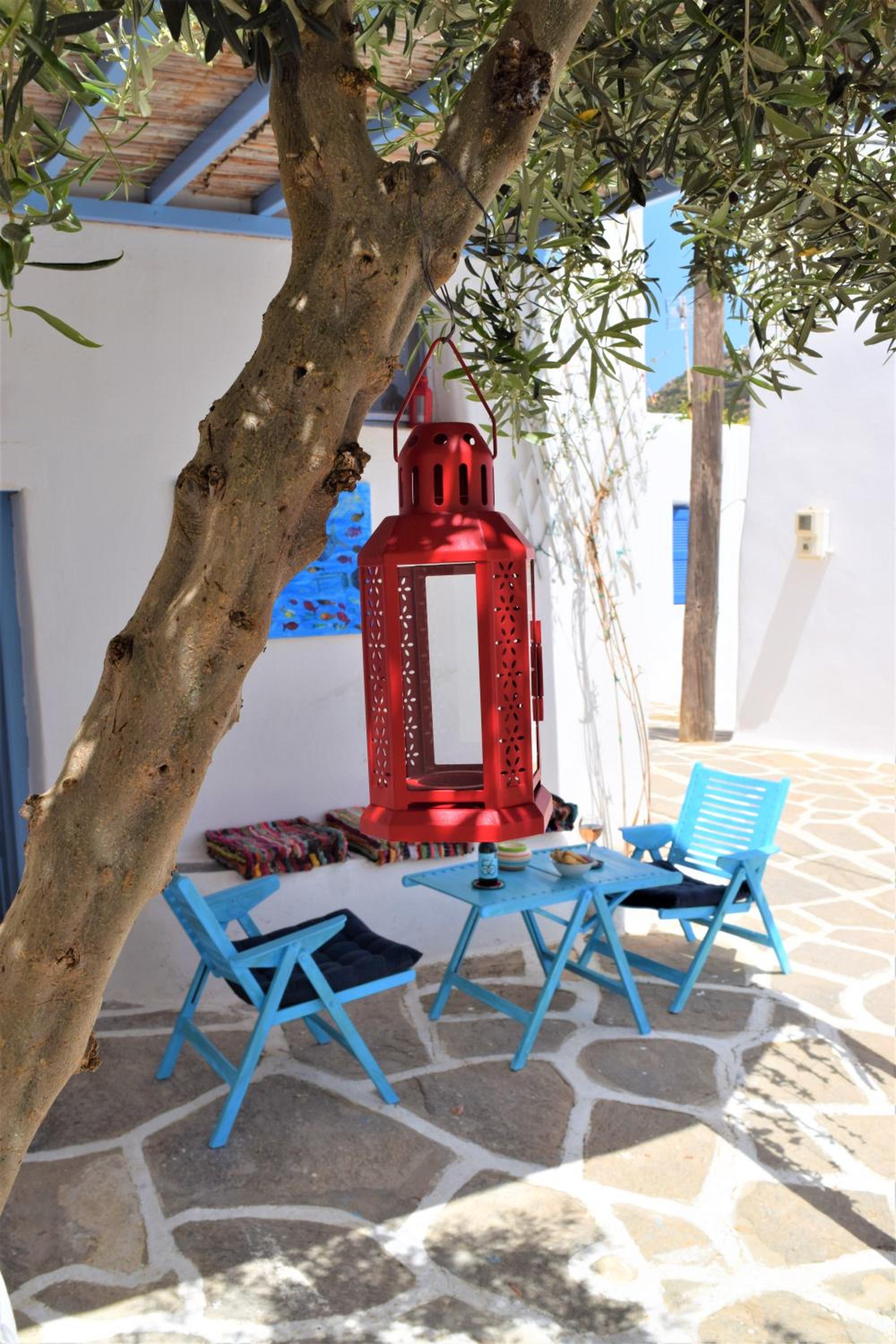 The Lower House of Marianna photo 3