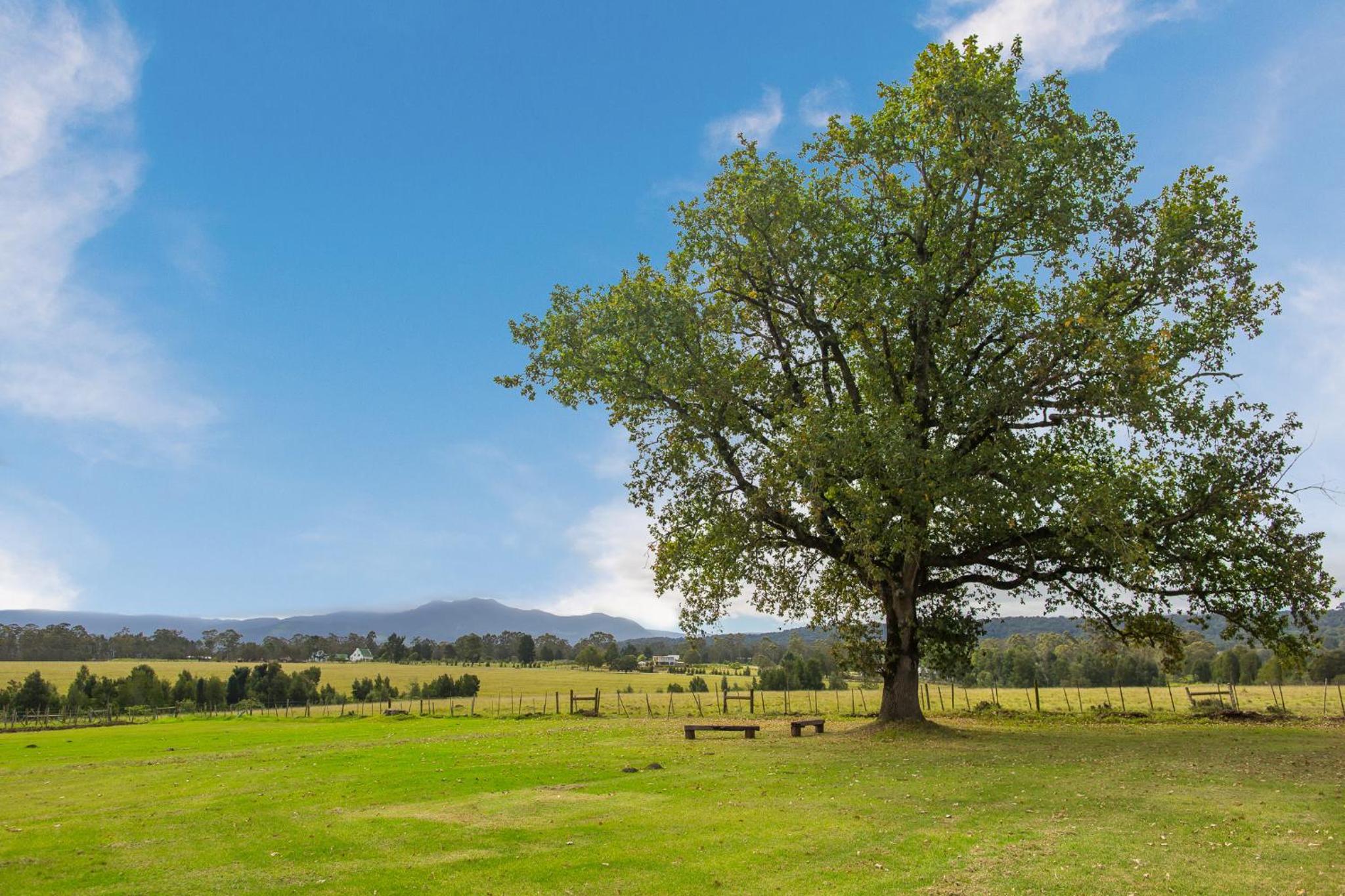 Quinta Da Montanha