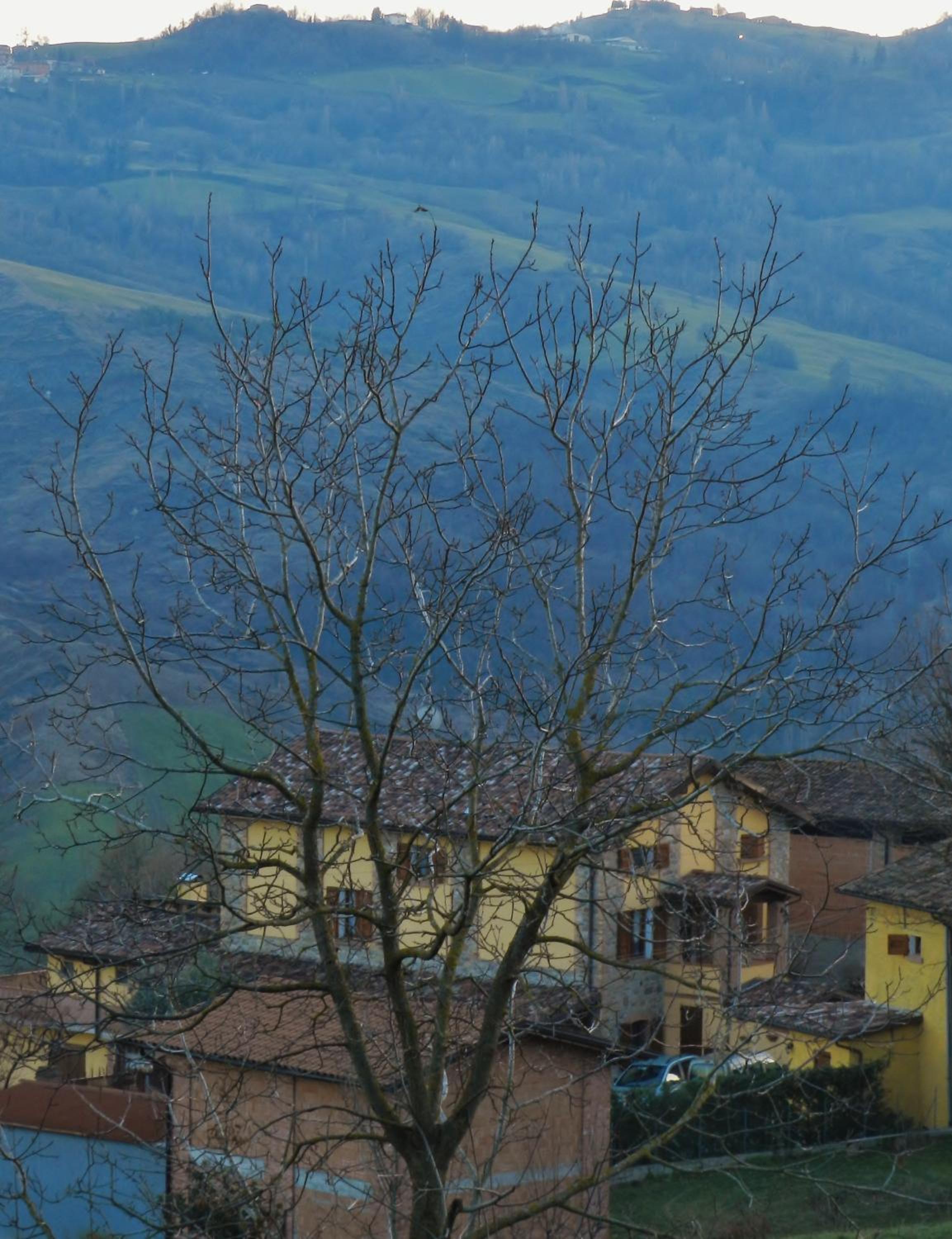 Photo 50