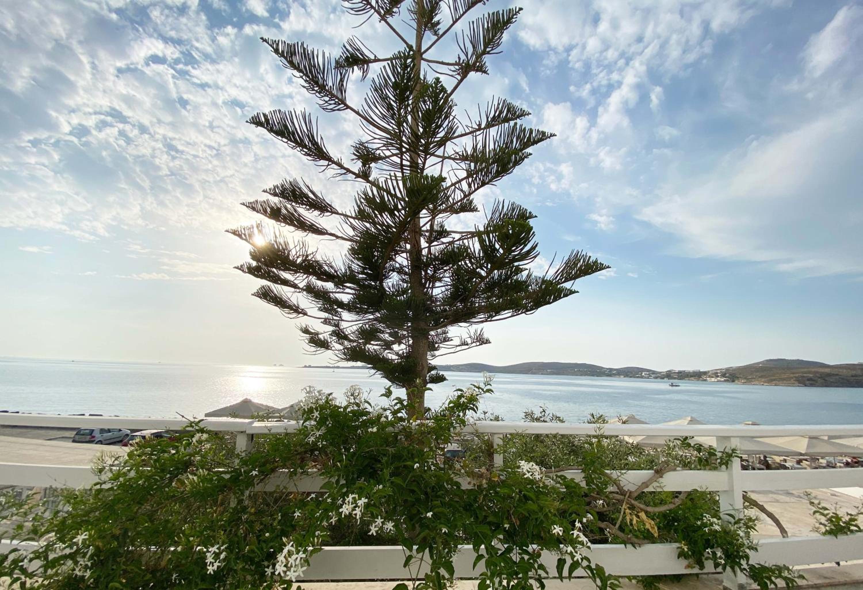 Lyra Seafront Apartment , Paroikia Town Center — photo 22