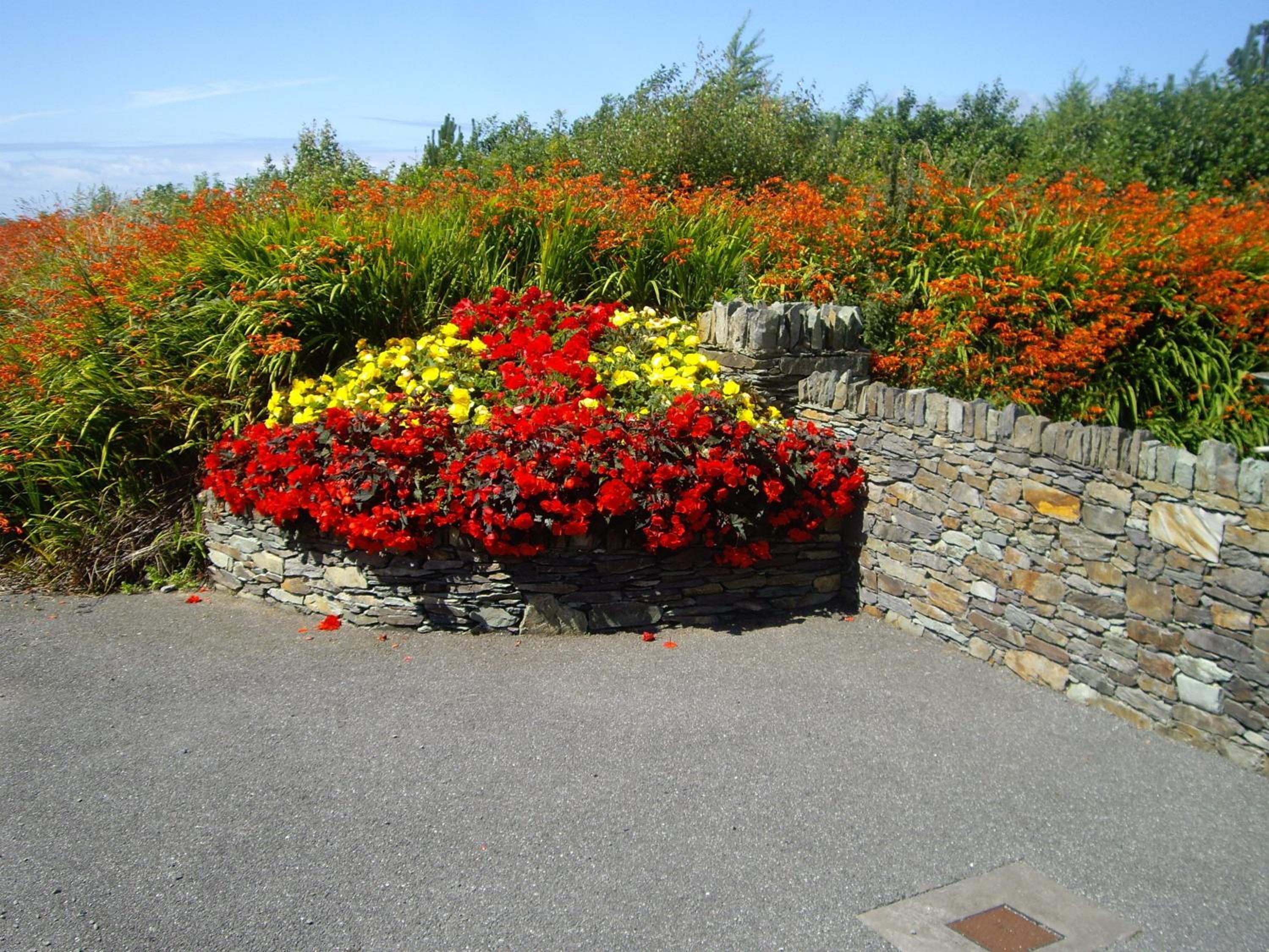 Photo 21