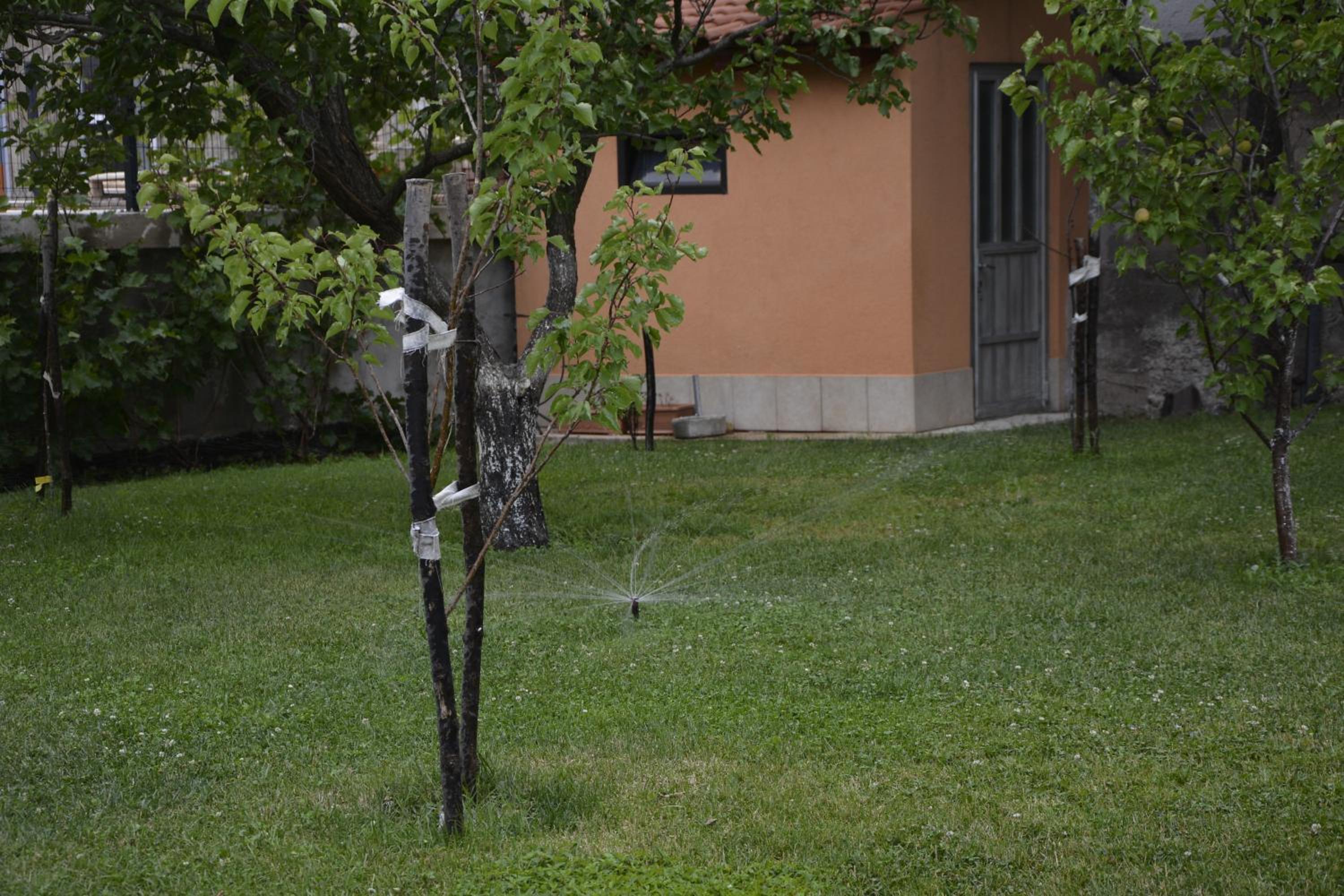 Photo 12