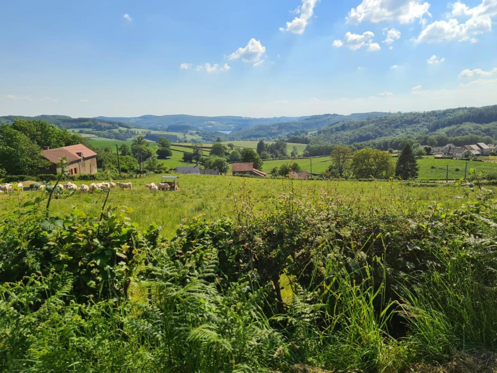 Ambiance Morvan en Ouroux en Morvan