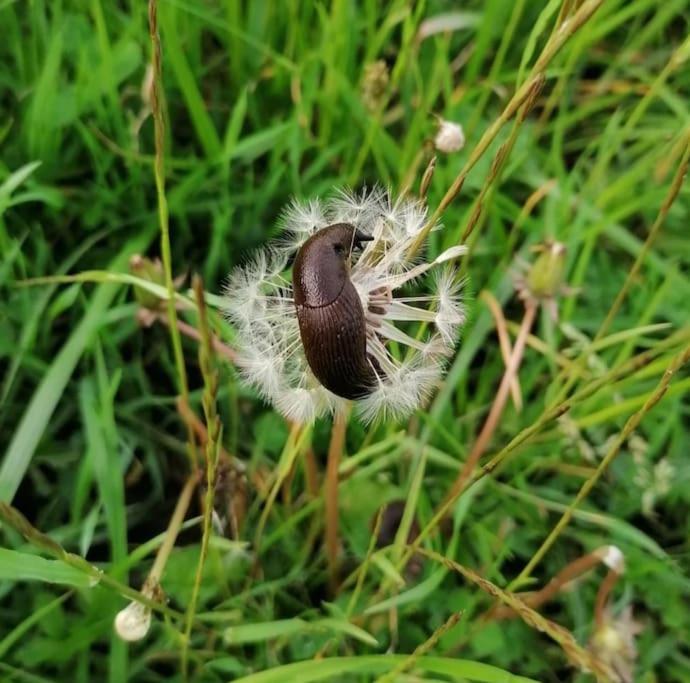 Photo 48