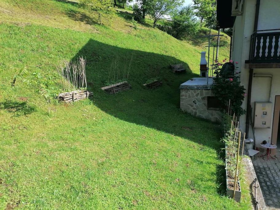Beautiful house in idyllic location view 5