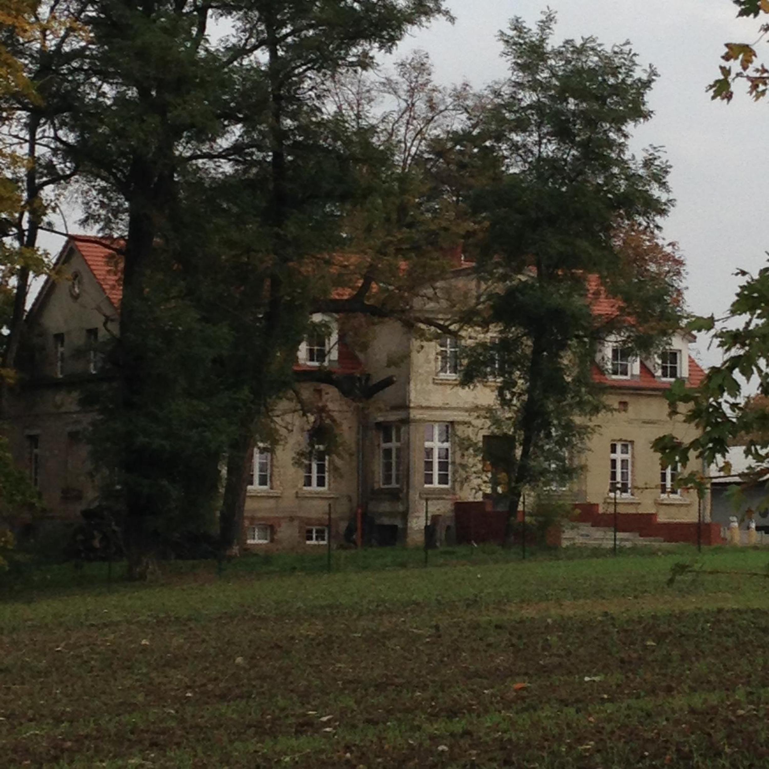 Palac Osowo gostynskie