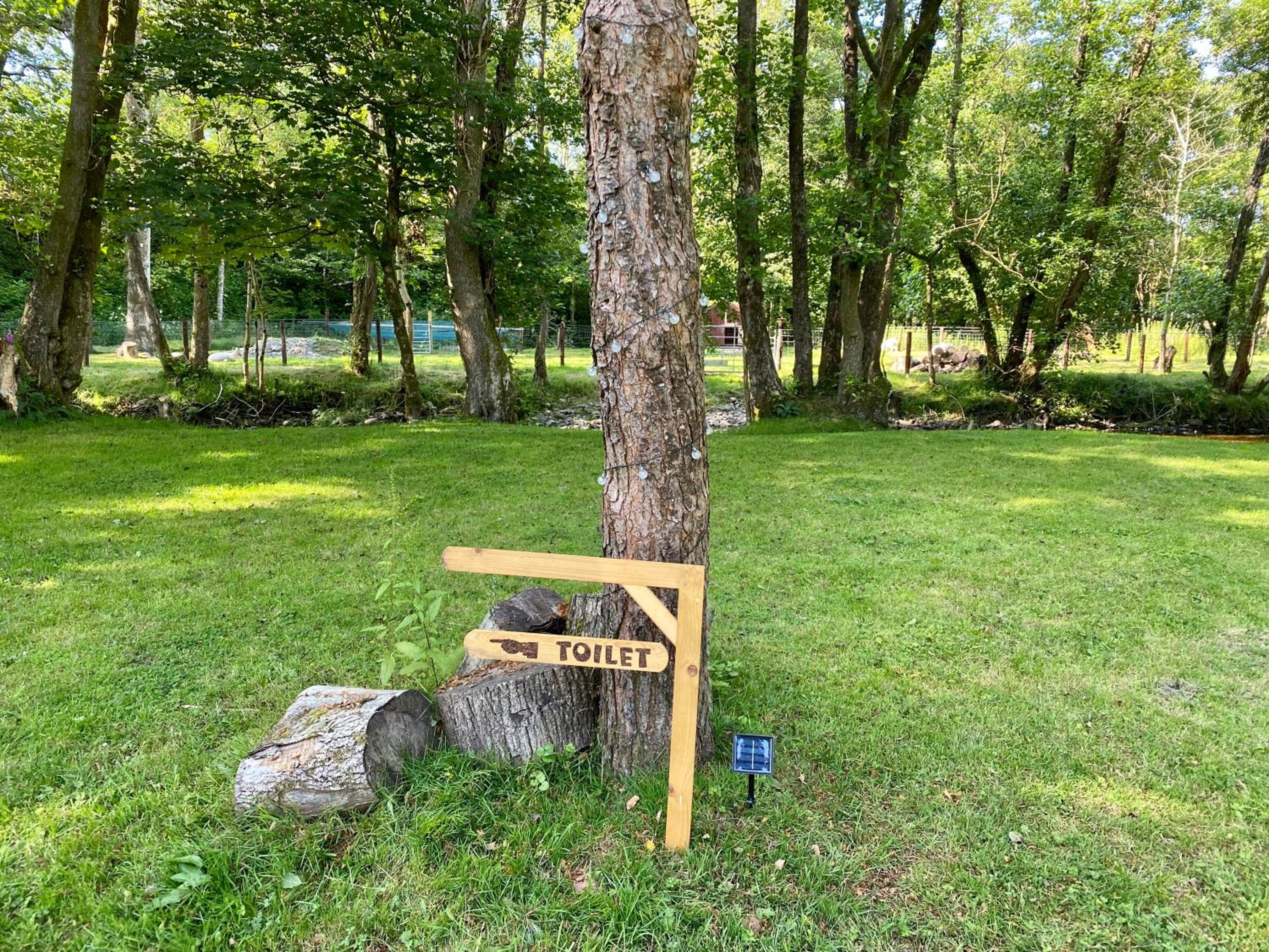 Photo 36