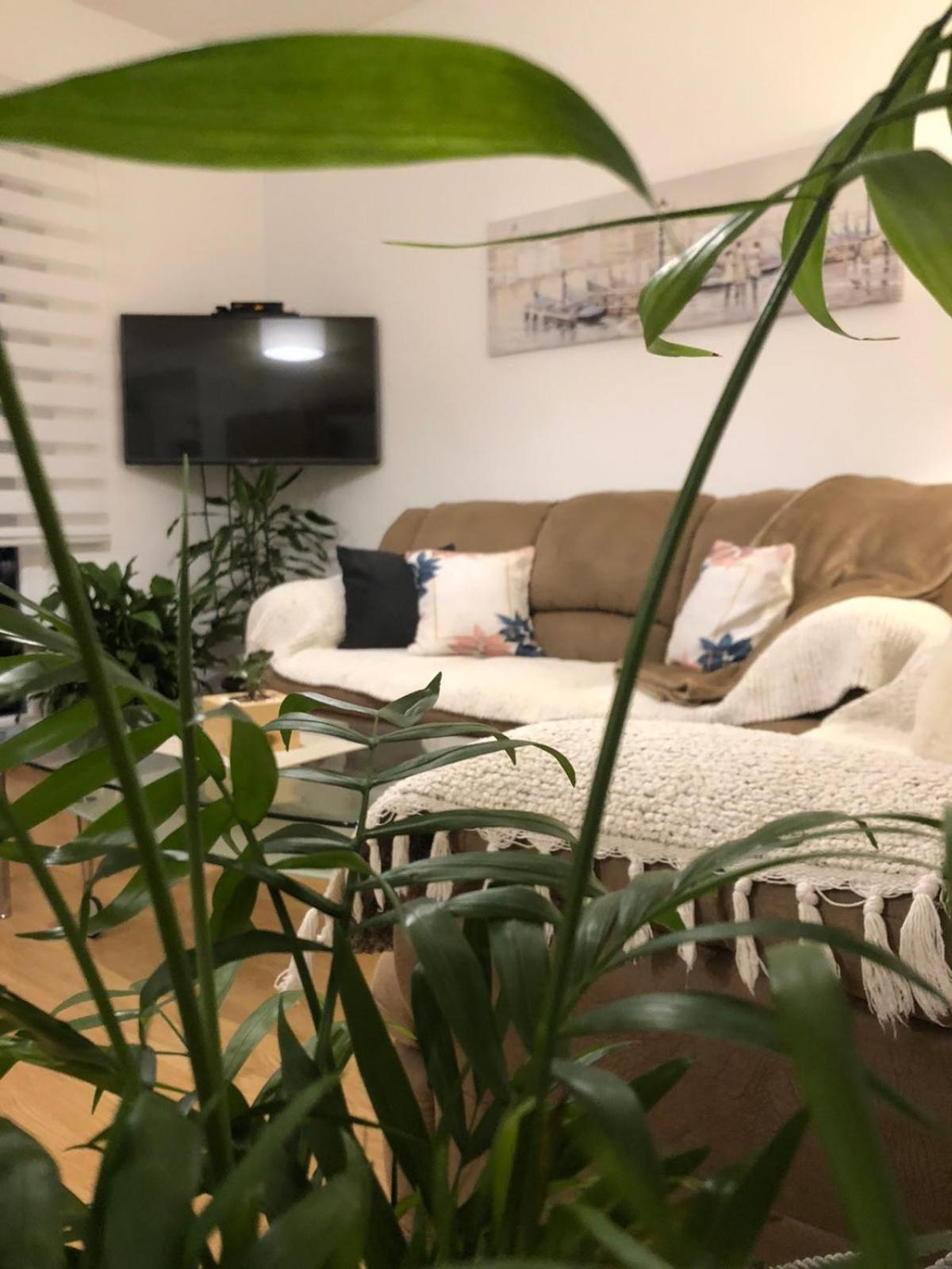 Family Apartment view 5