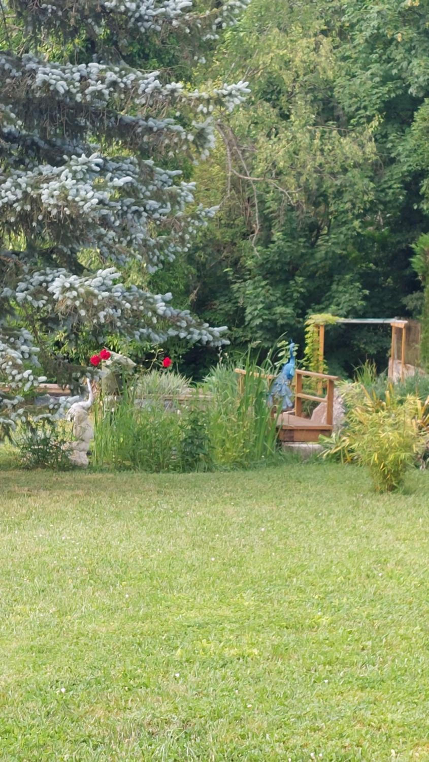 Chez Madgi et Jean-Mi view 5