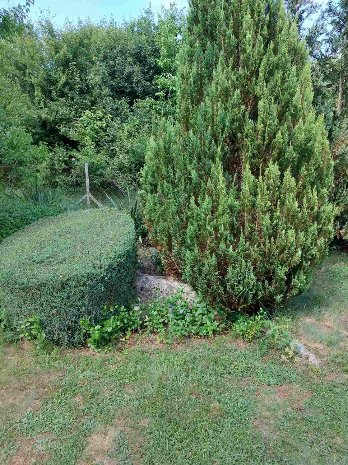Photo 31
