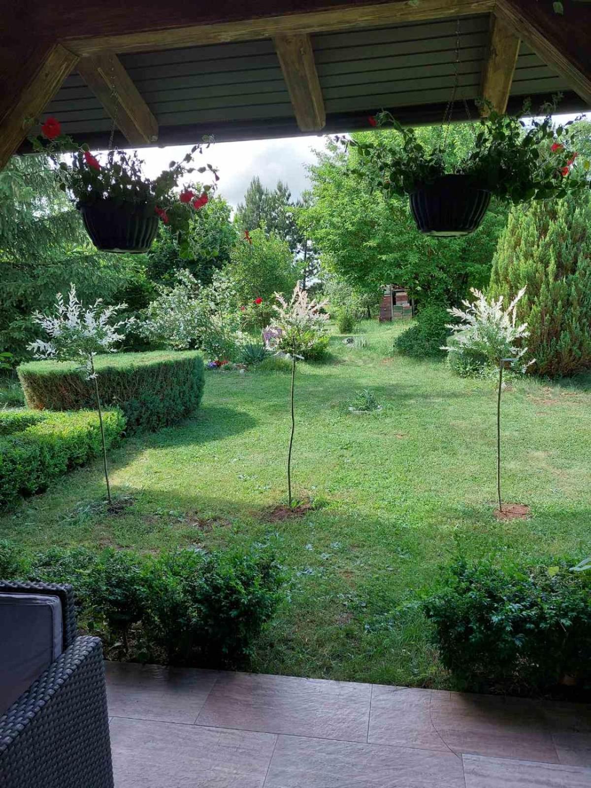 Photo 26