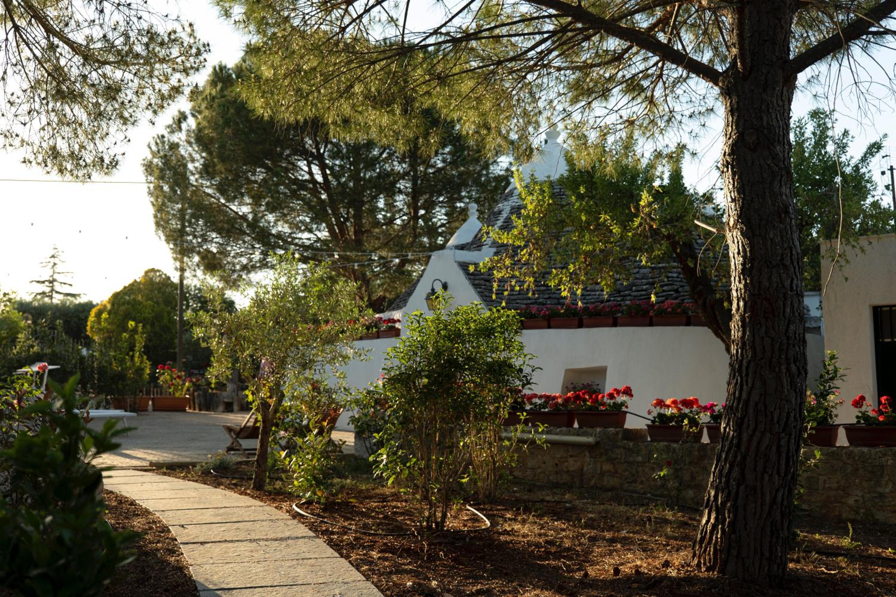 Photo 23