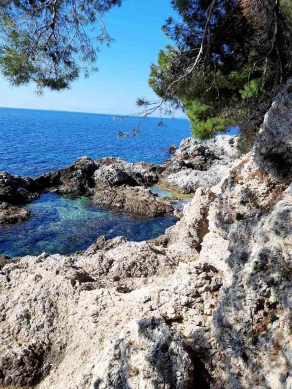 Apartments Ana - cosy with sea view