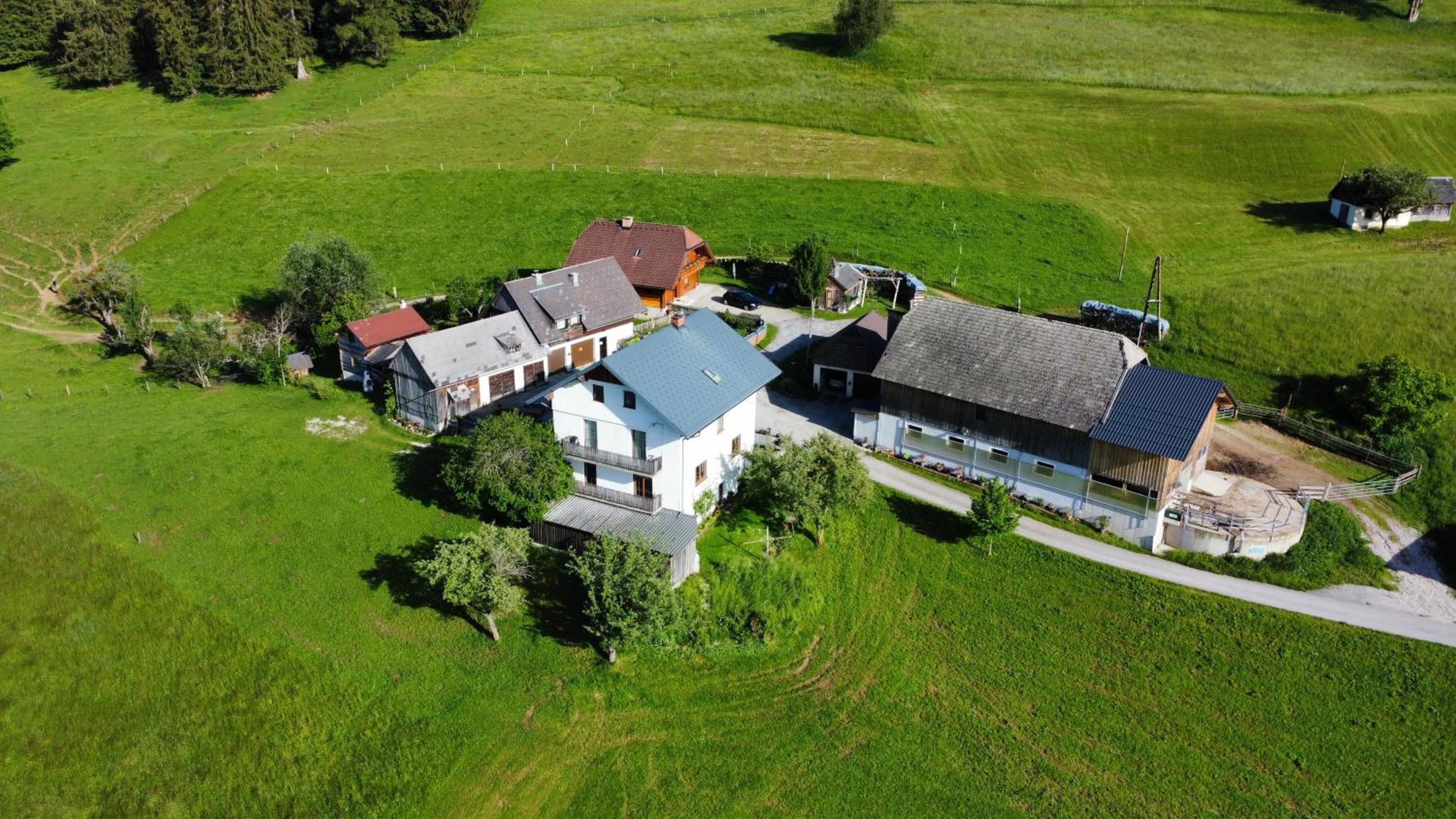Ferienwohnungen - Pichlerhof view 4