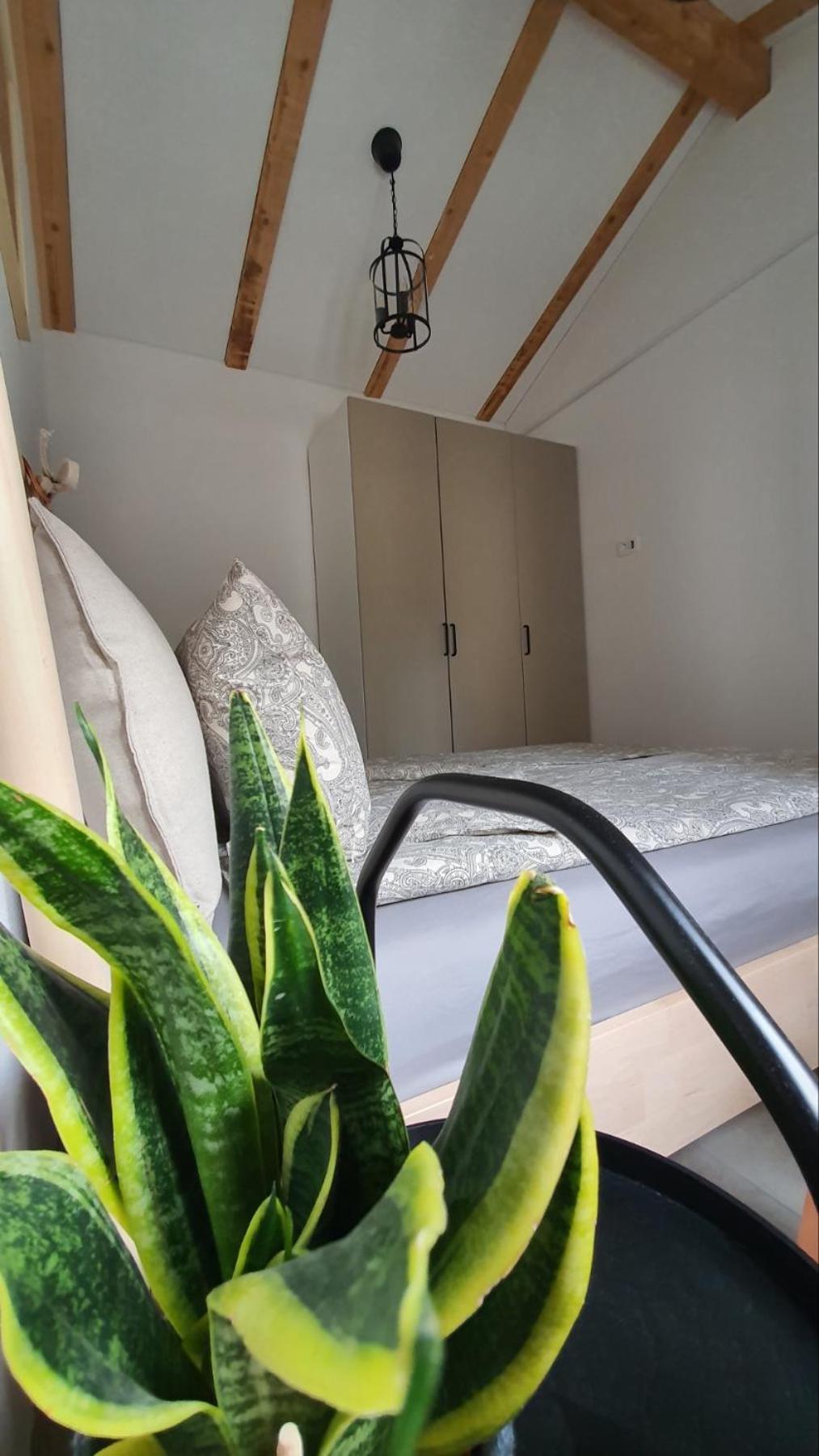 Apartment Ariela