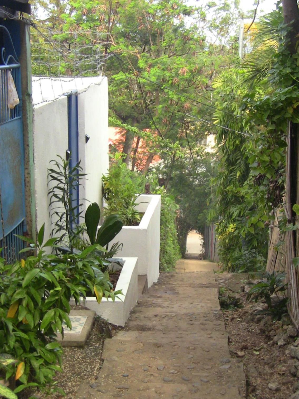 Roger's Place Guesthouse view 2