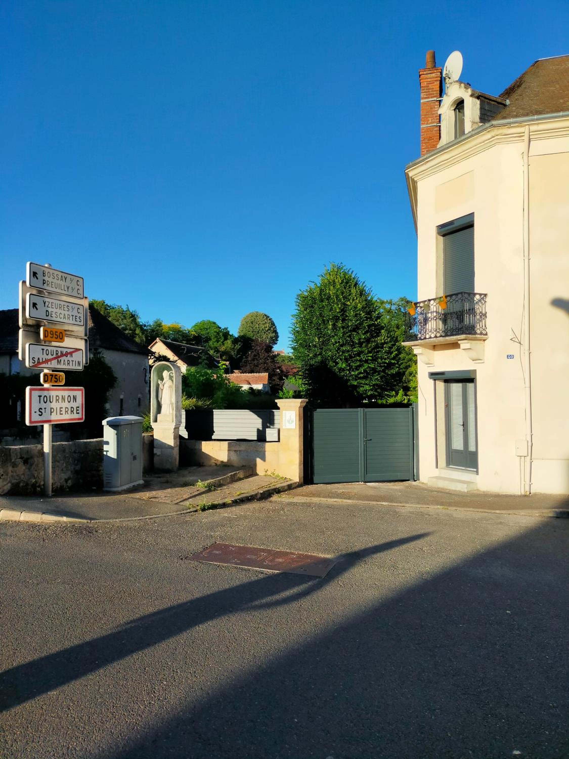 Le Héron bleu de la Brenne view 2