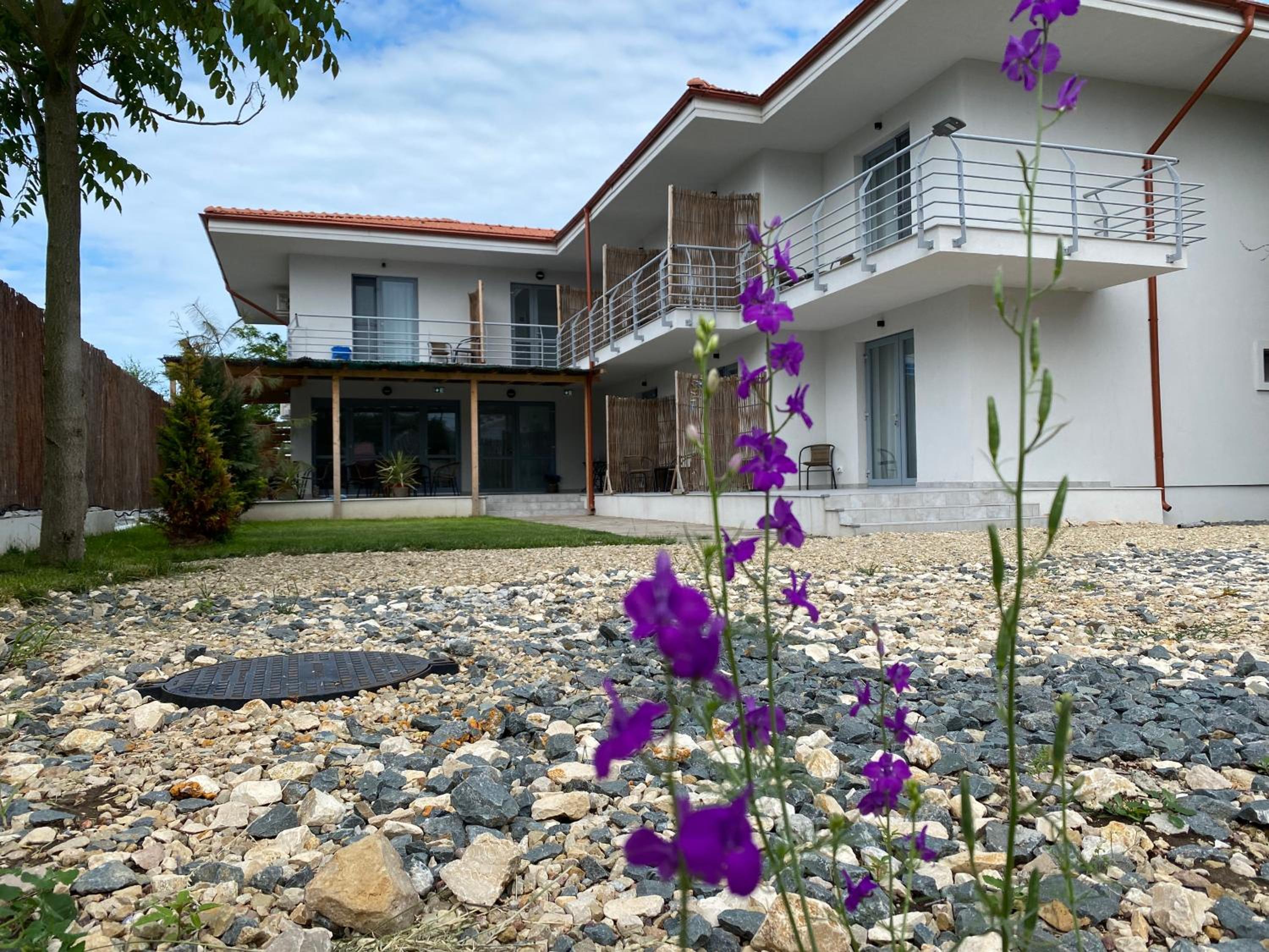 VAMA BLUE view 5