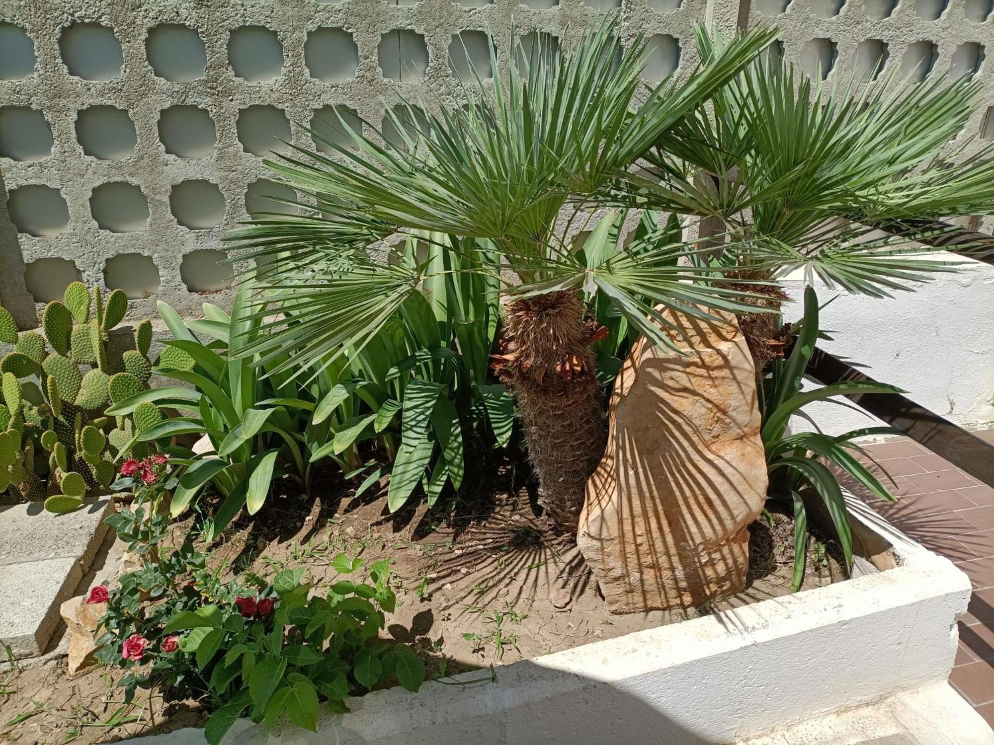 Mony's Island B&B photo 2