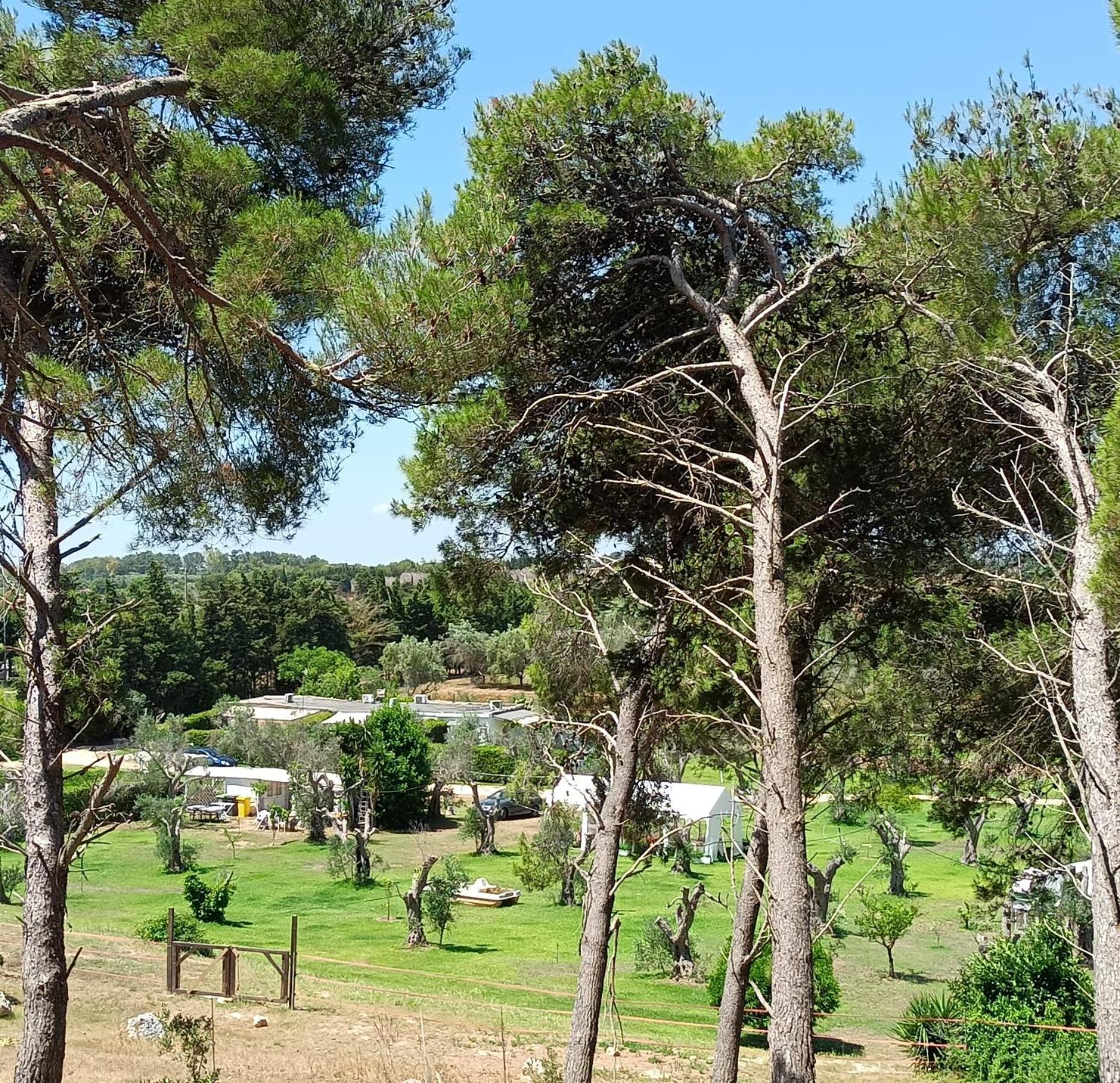 Agriturismo Massaro Pietro