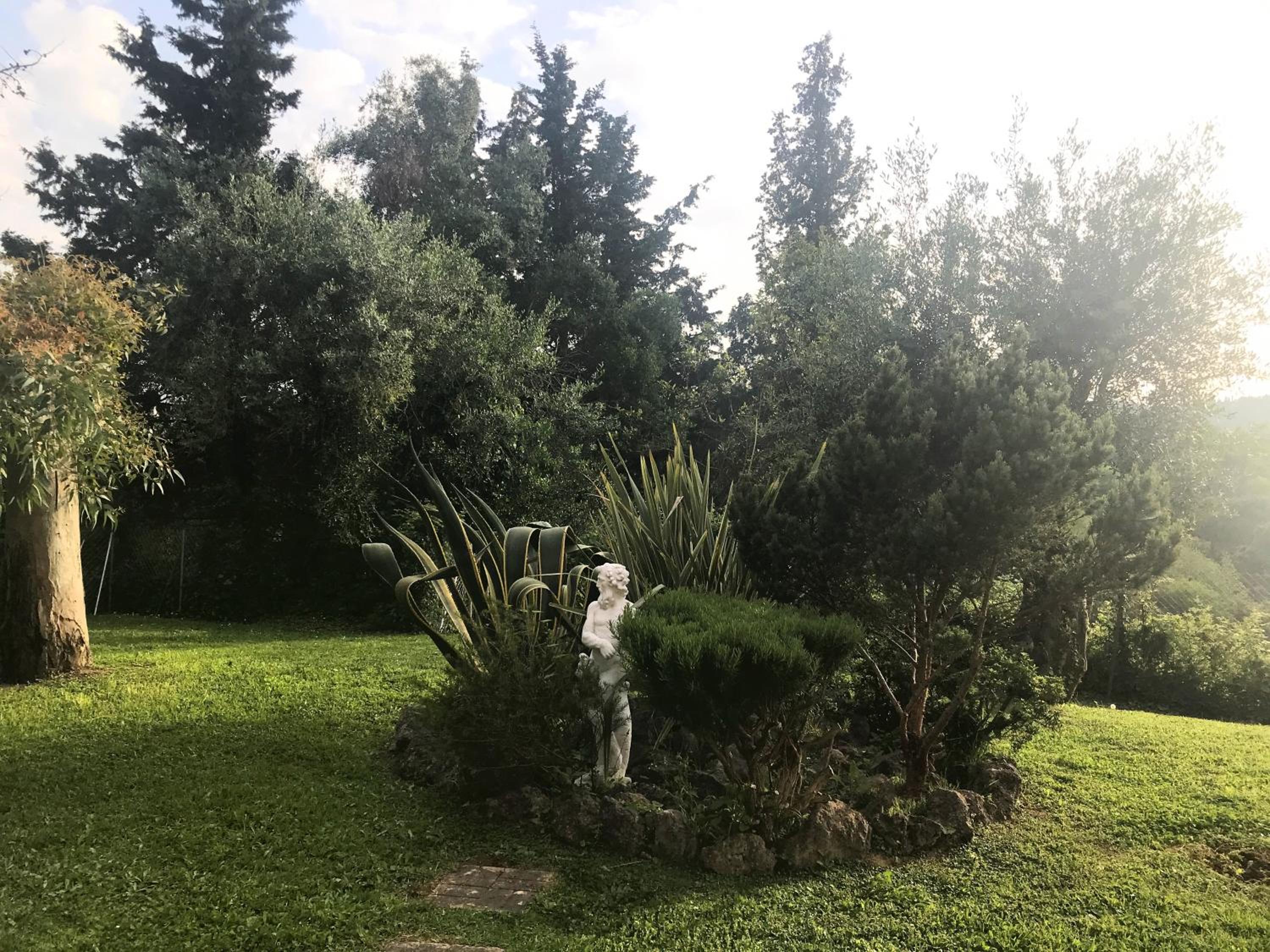 Photo 36