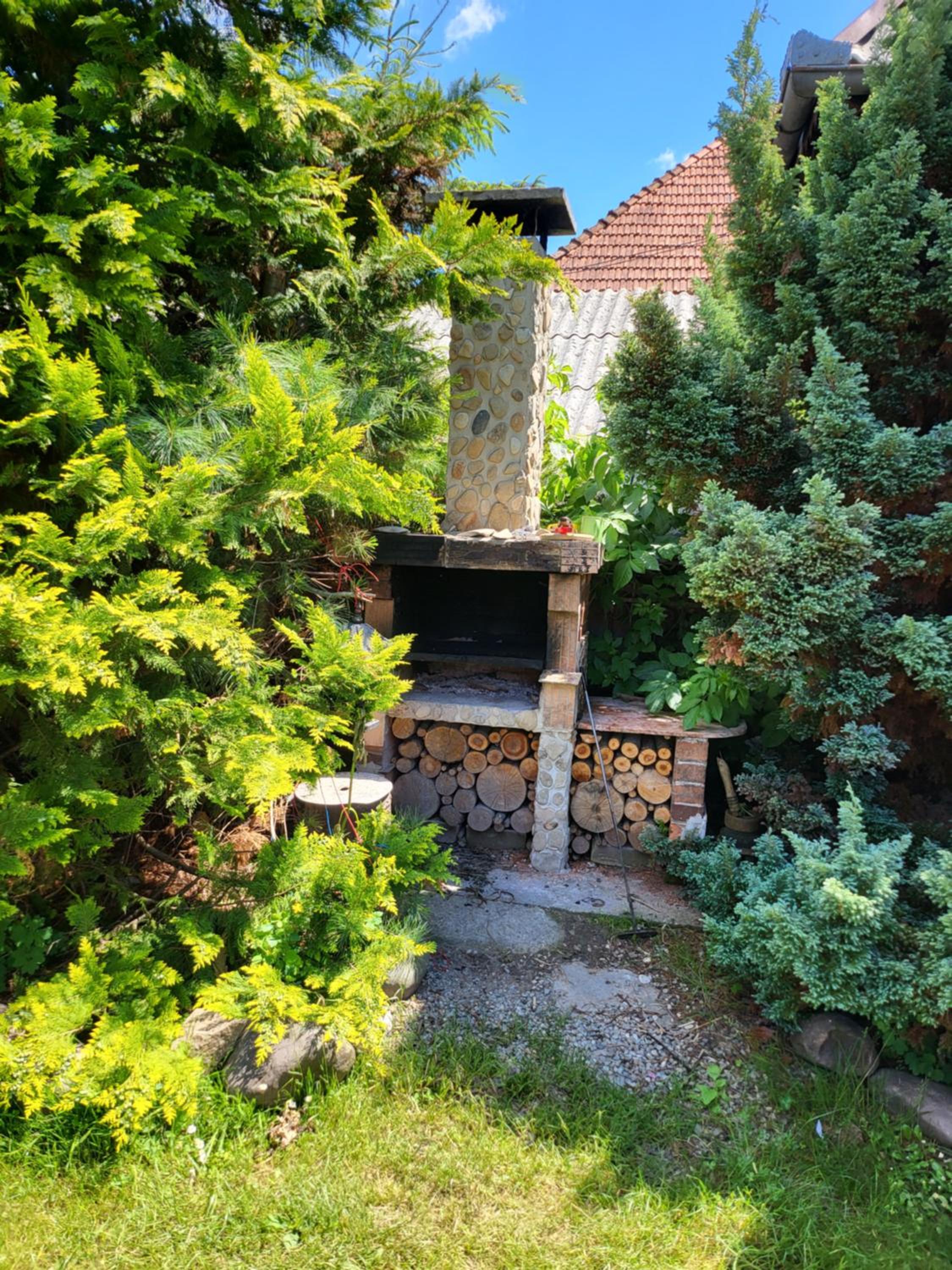 Photo 51
